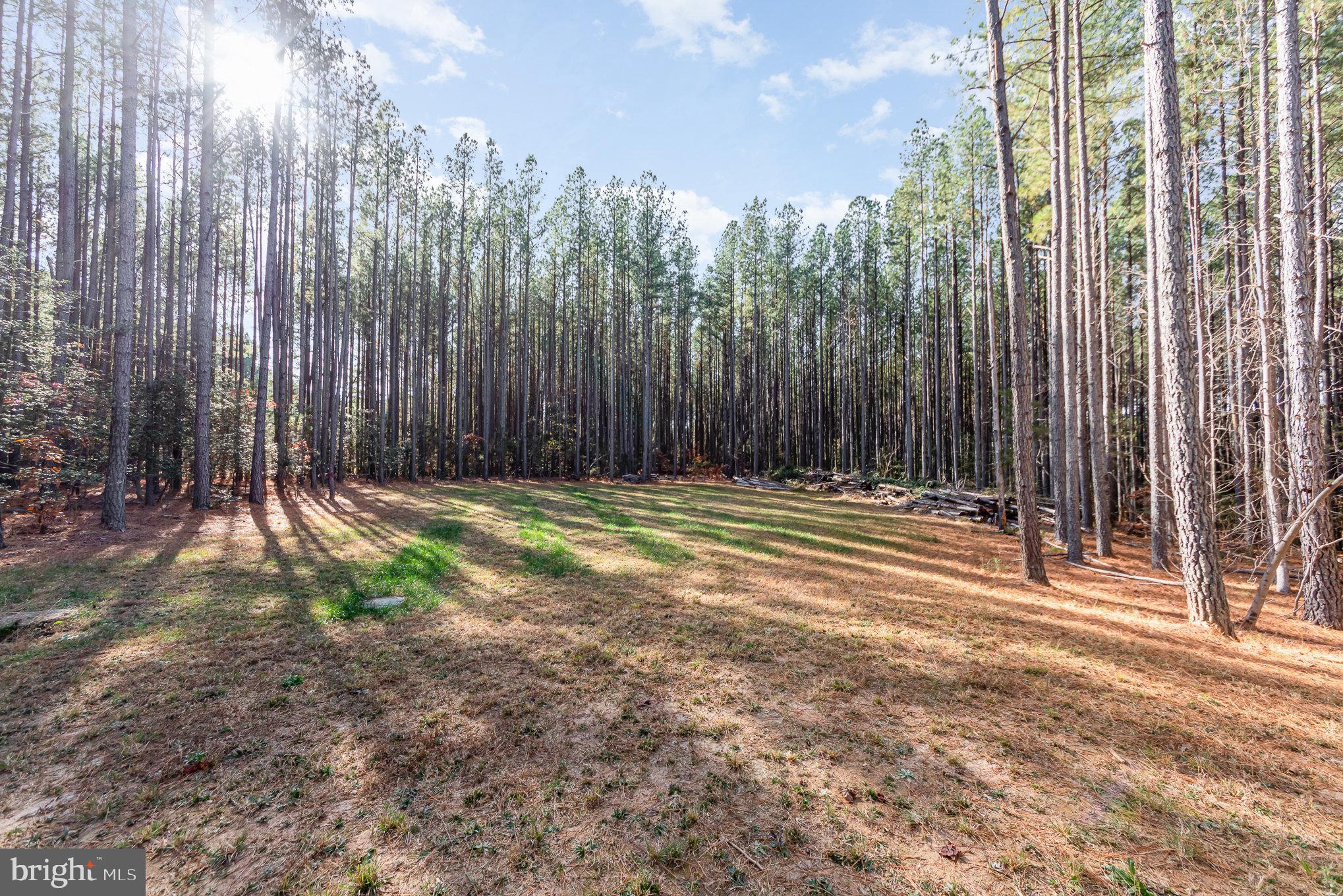 TAYLOR RIDGE ESTATES - Residential