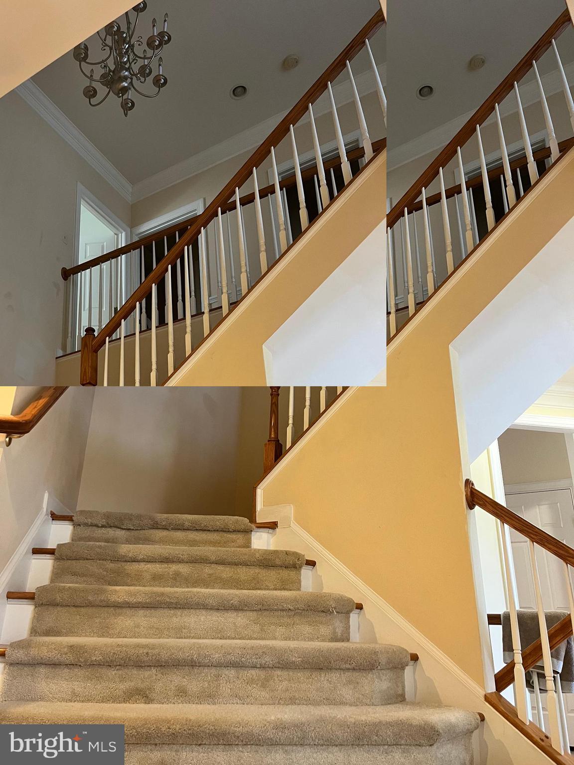 BEECH TREE EAST VILLAGE - Residential Lease