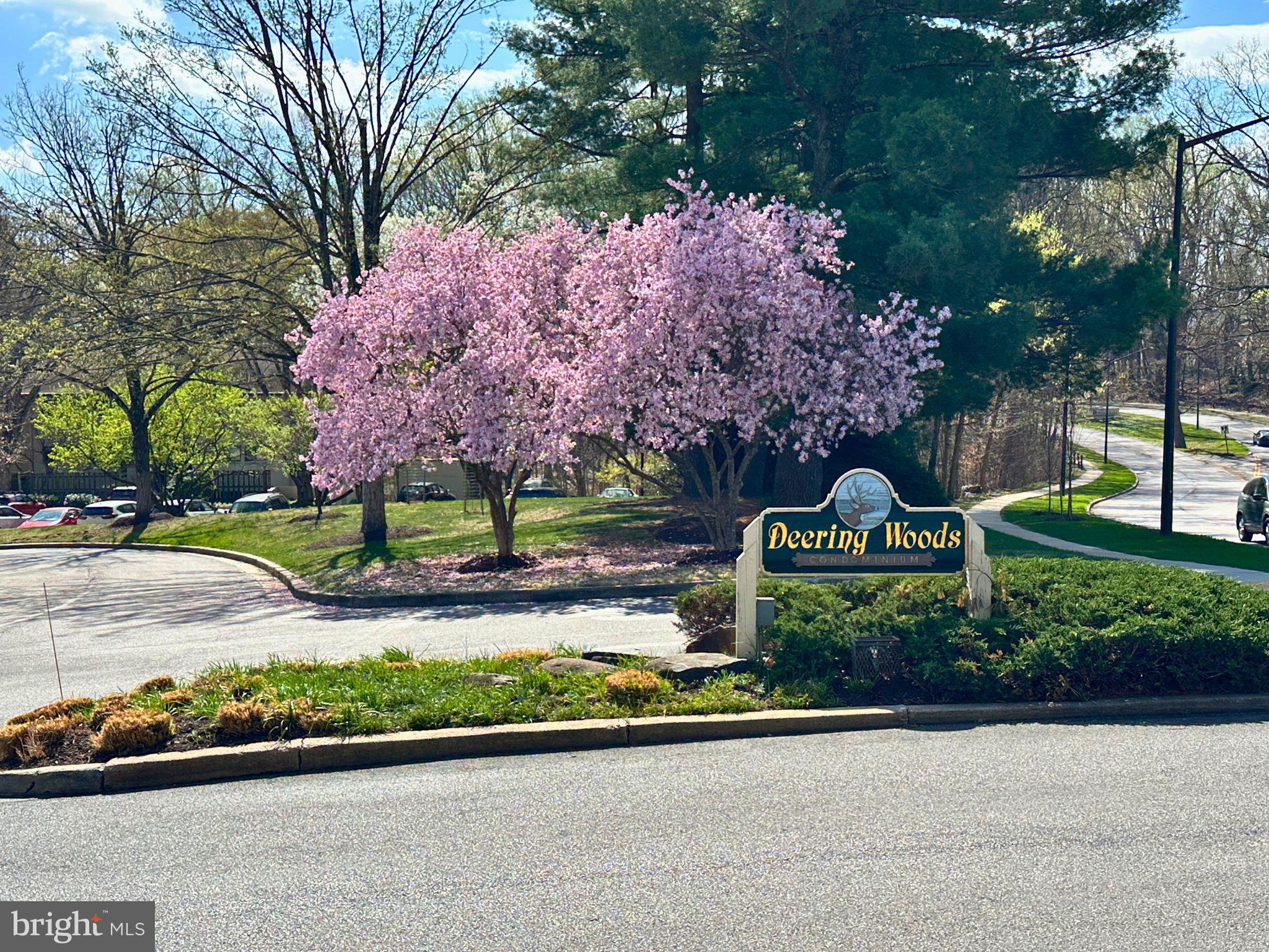 HARPERS CHOICE - Residential