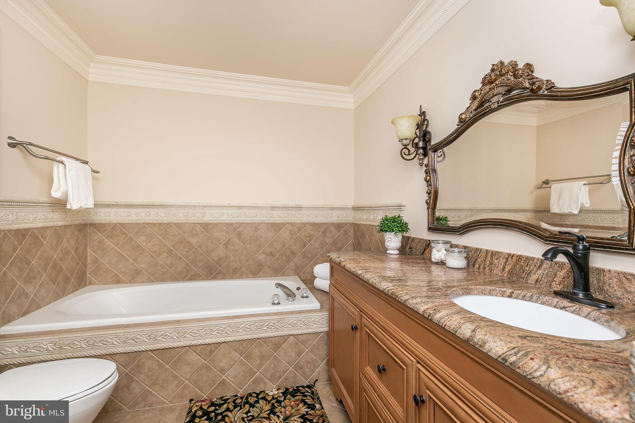 OWINGS MILLS NEW TOWN - Residential