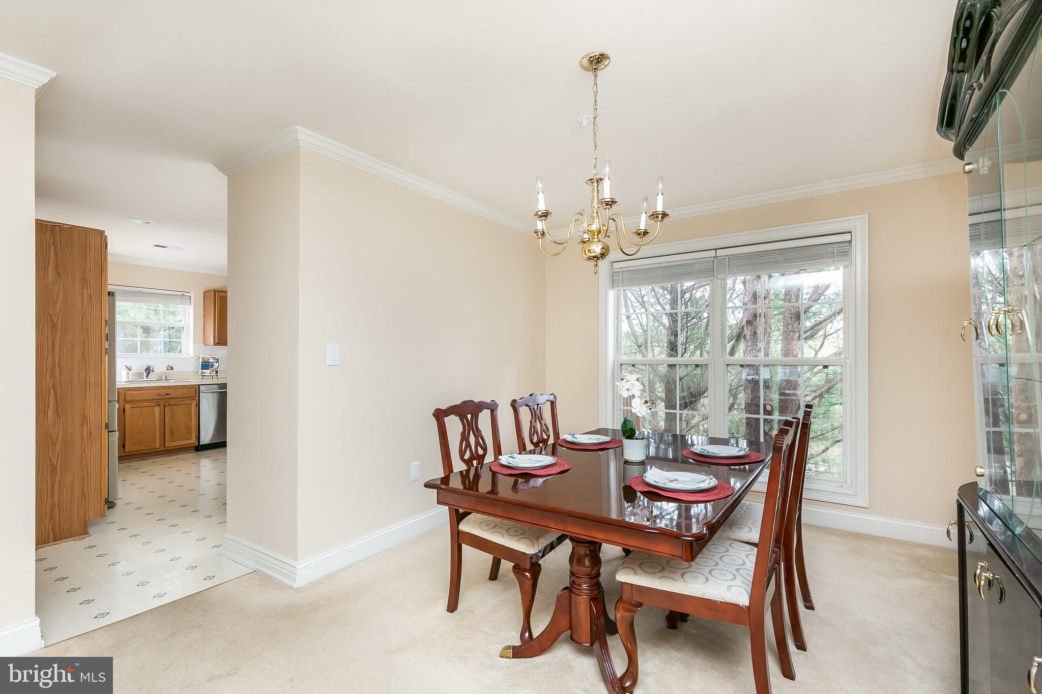 OWINGS MILLS NEW TOWN - Residential