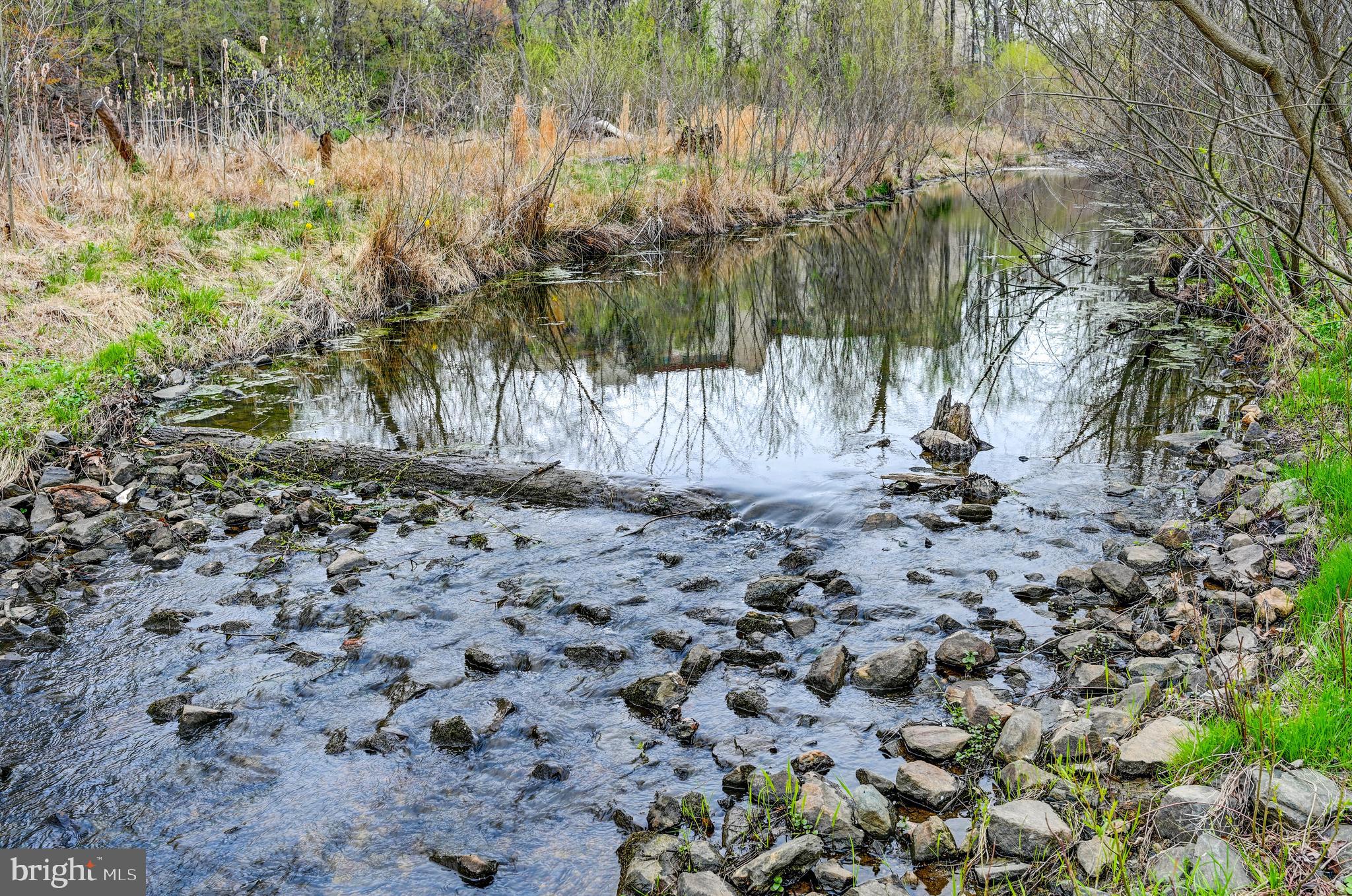 TOWN CENTER - Residential
