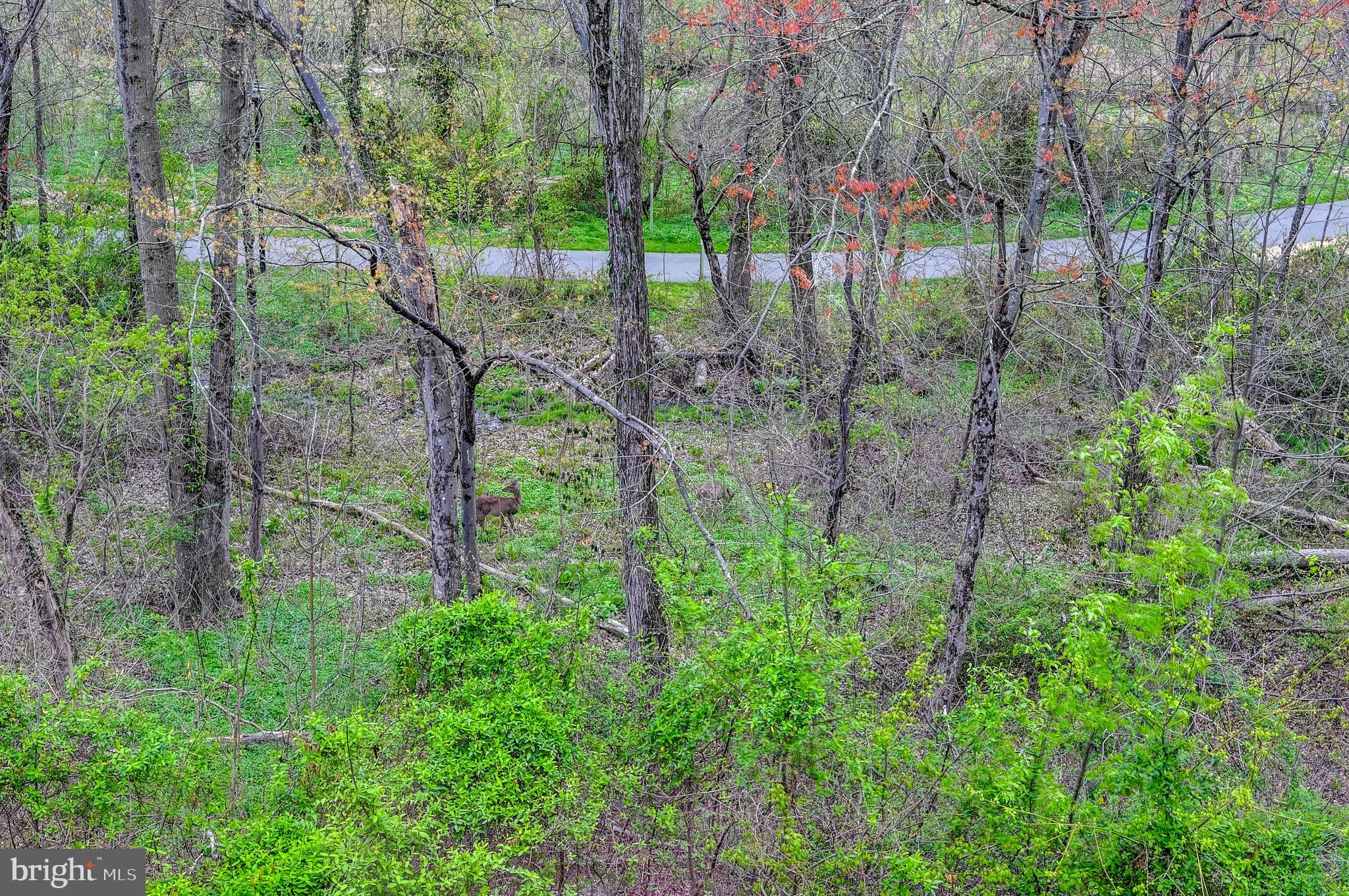 TOWN CENTER - Residential