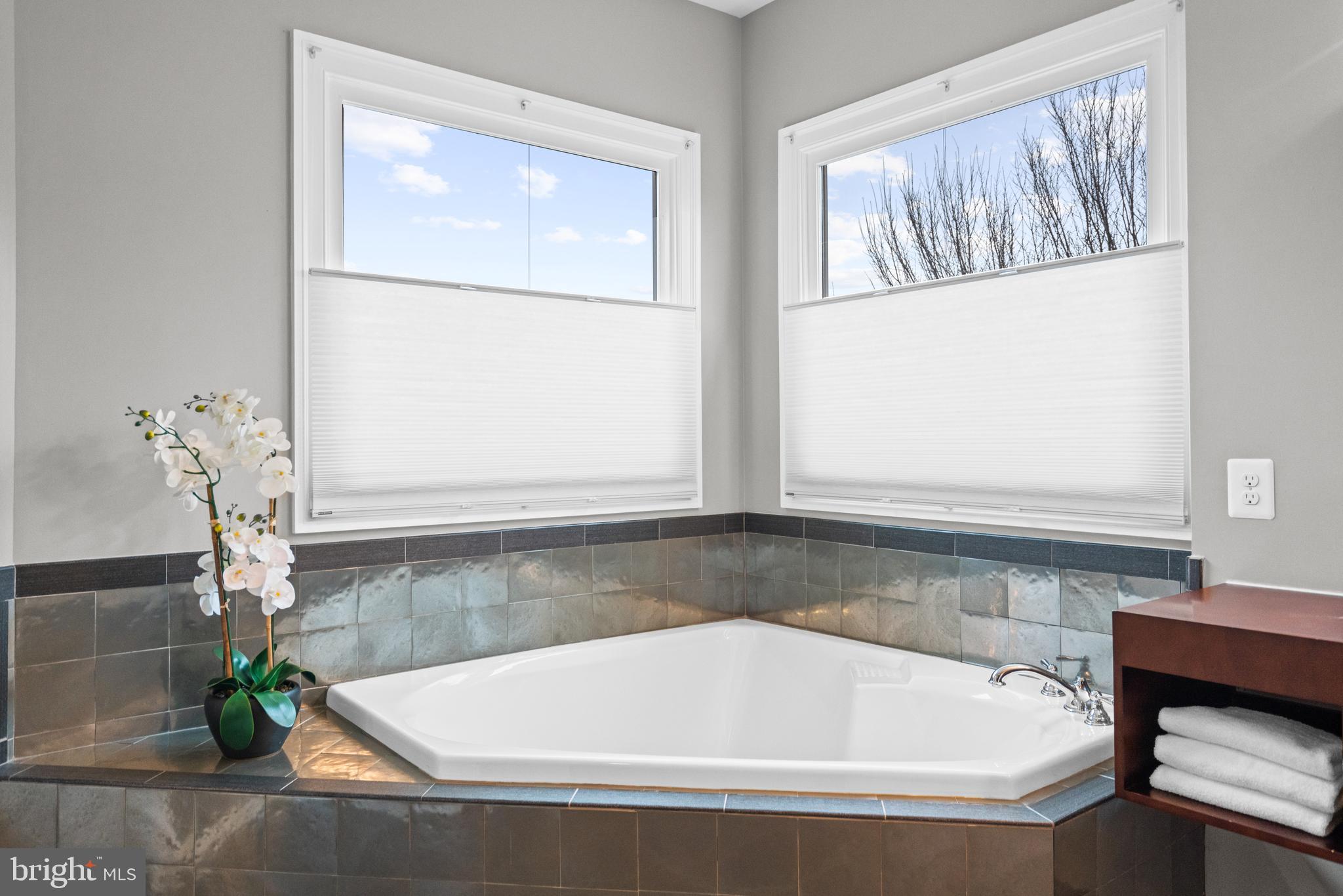 CHESTNUT LODGE - Residential