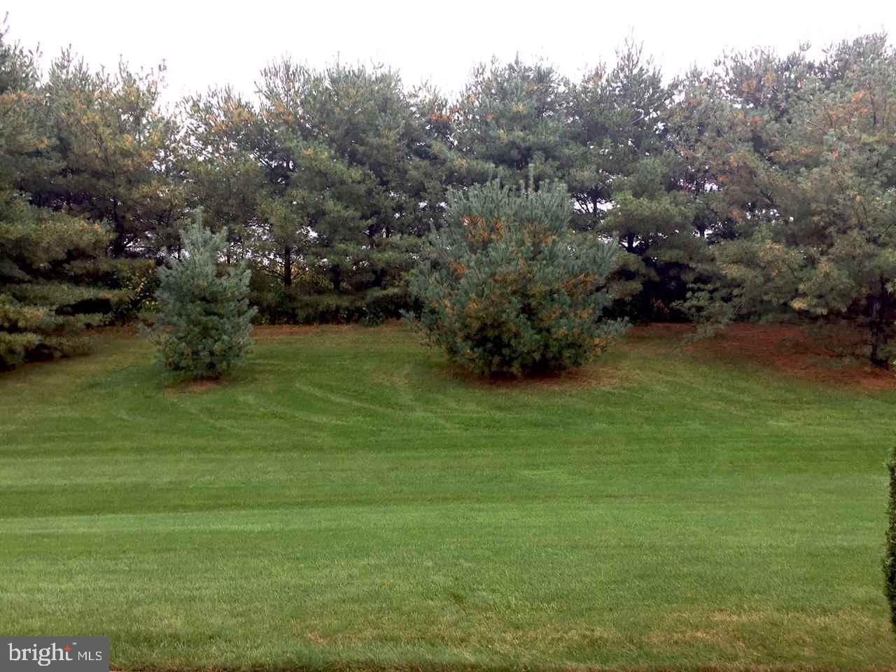 LONGSTOWN VILLAGE - Residential