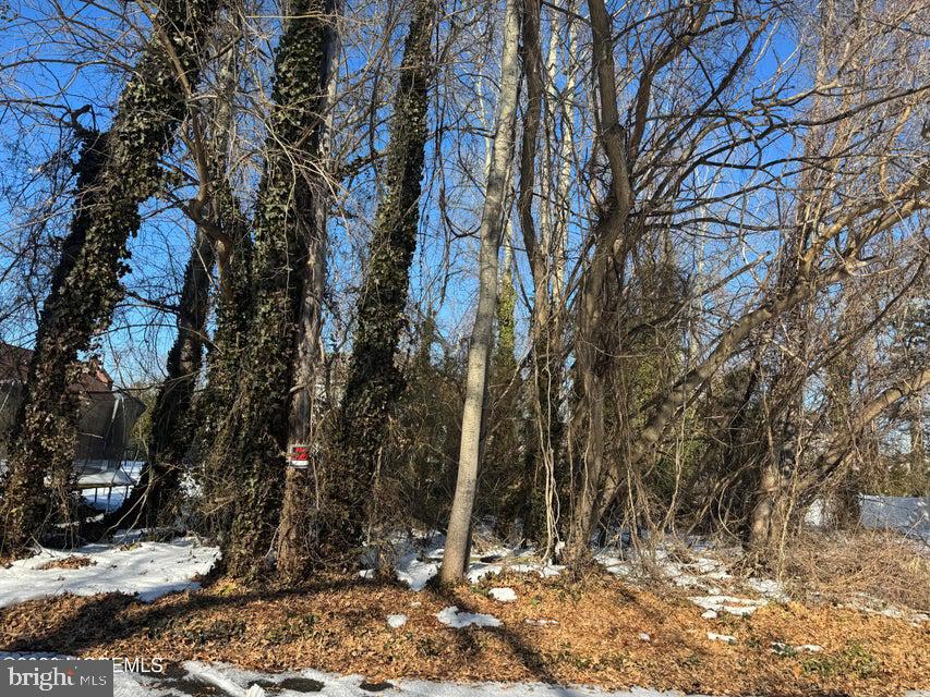 Photo 1 of 3 — 0 LAWSHE DRIVE, PINE BEACH, NJ 08741