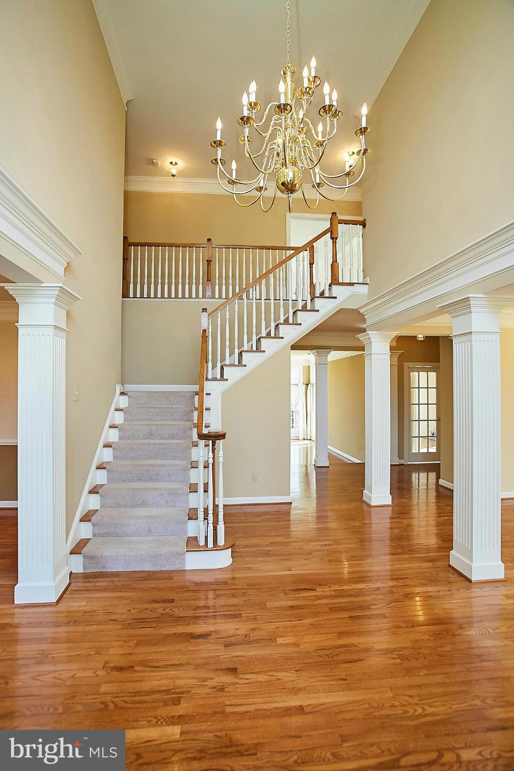 RIDGES OF ALEXANDRIA - Residential