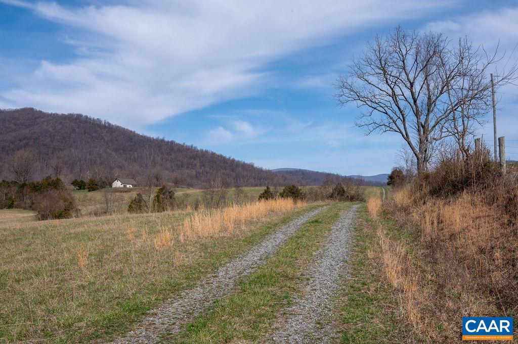 NONE AVAILABLE - Farm