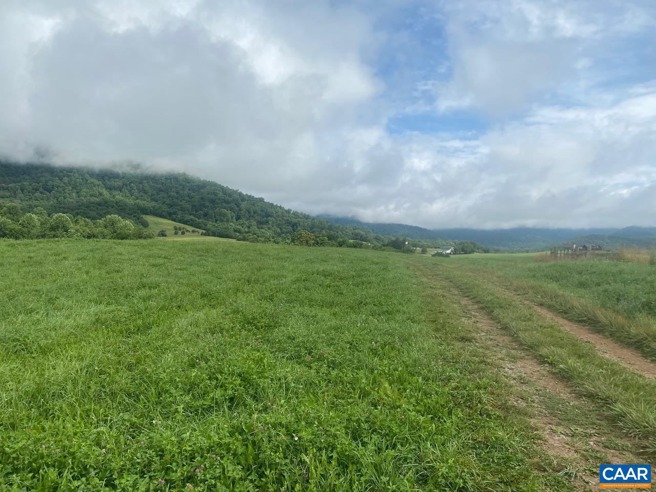 NONE AVAILABLE - Farm