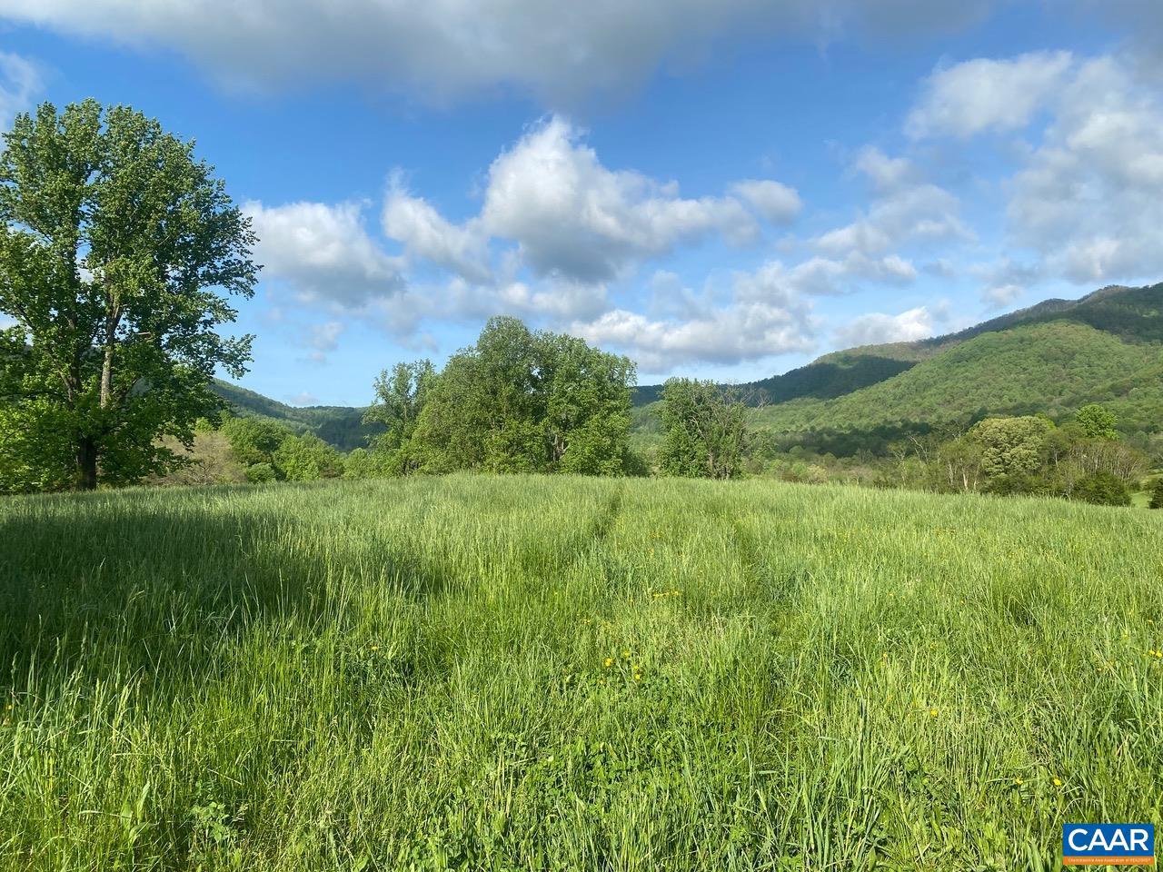 NONE AVAILABLE - Farm