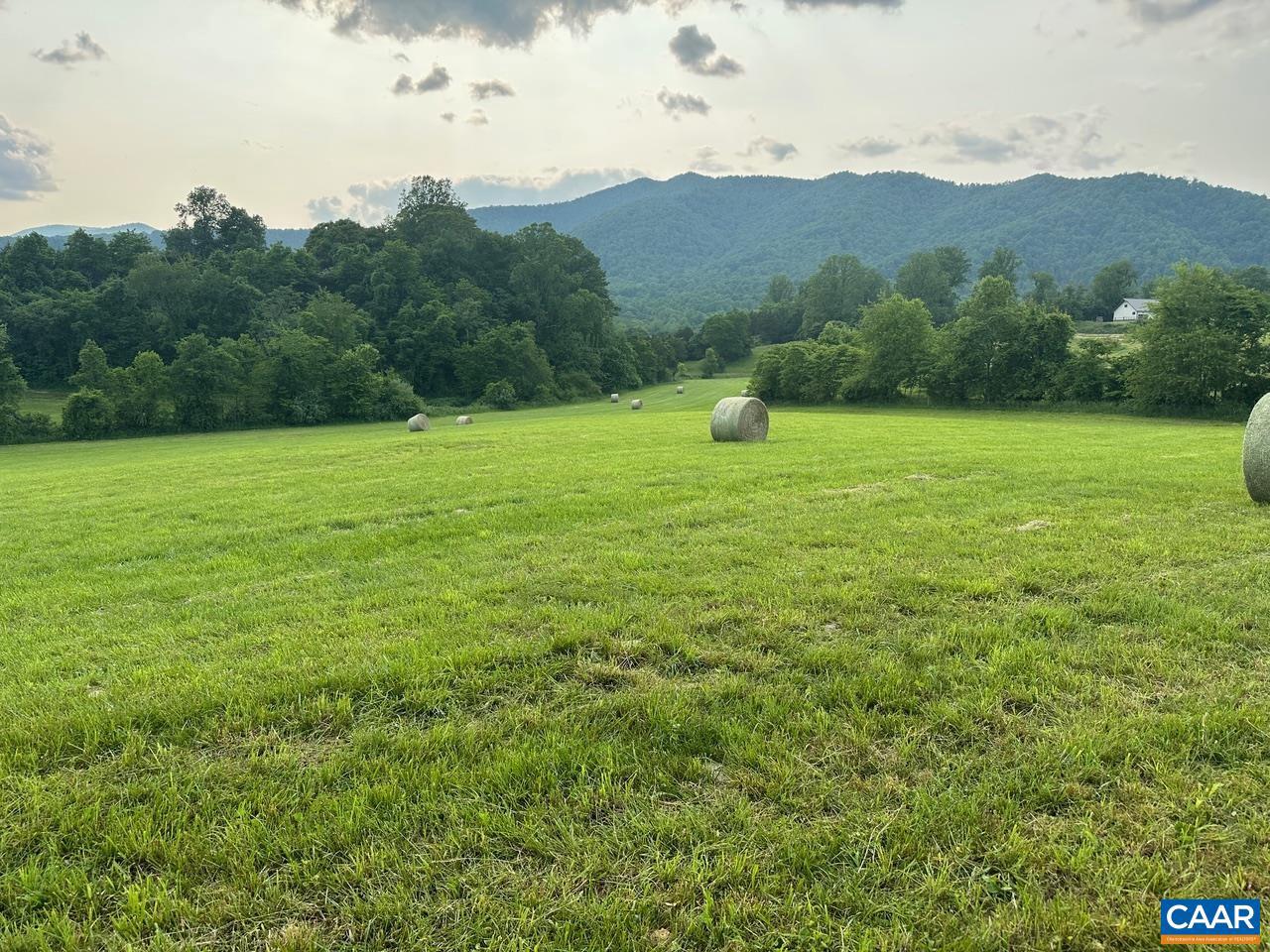 NONE AVAILABLE - Farm