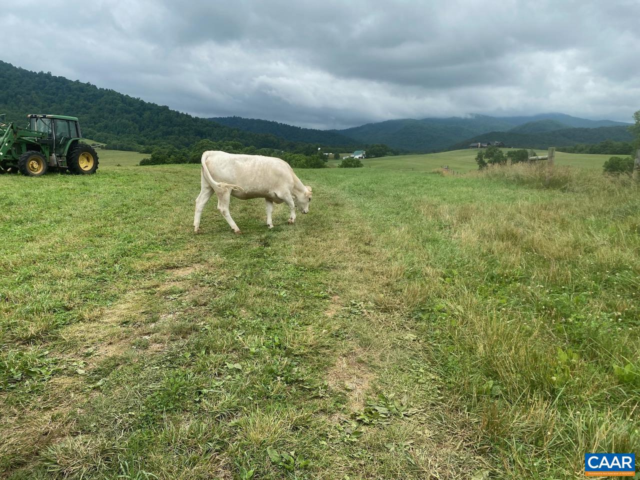 NONE AVAILABLE - Farm