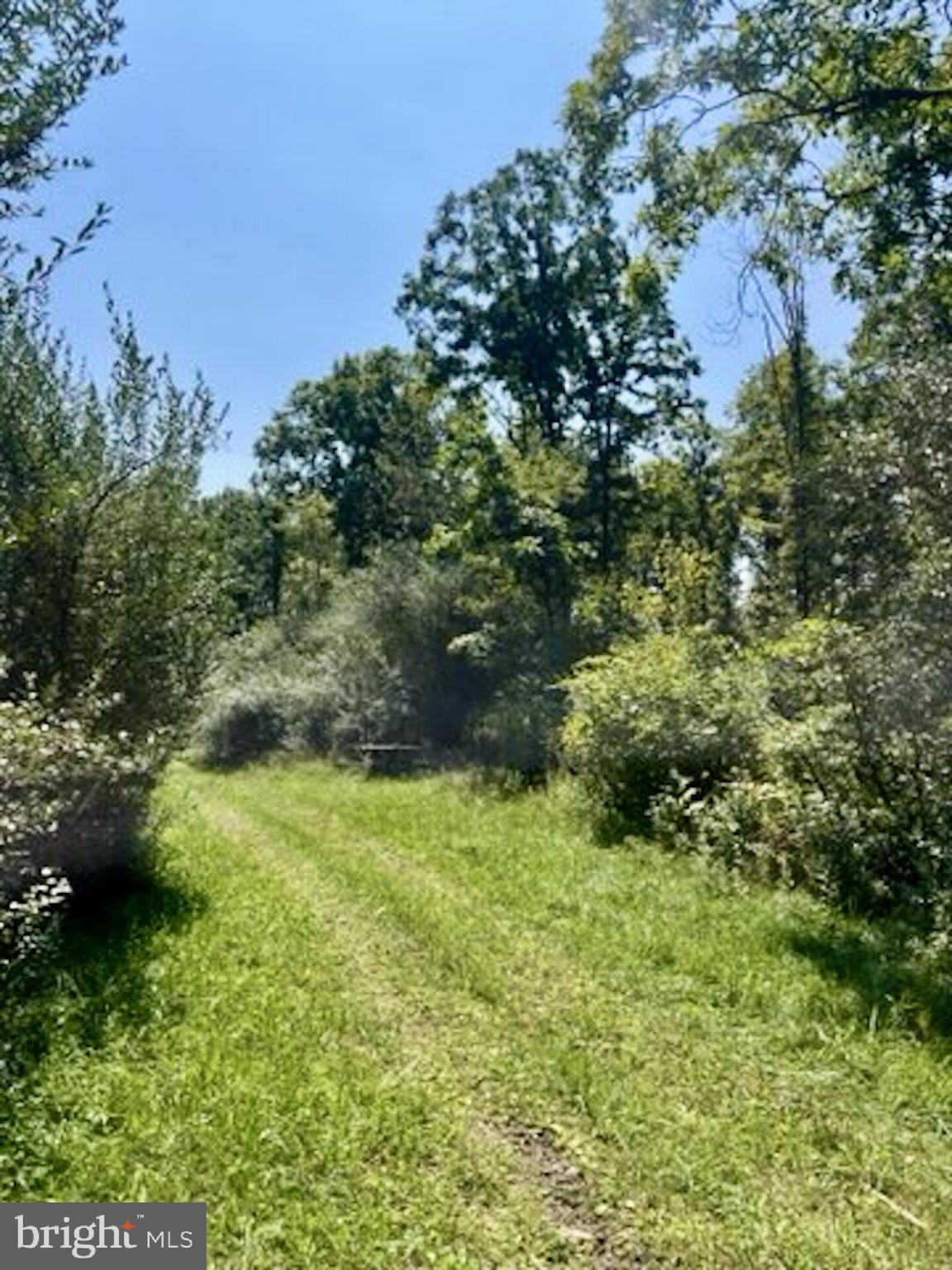 25 BEECH CREEK MOUNTAIN ROAD