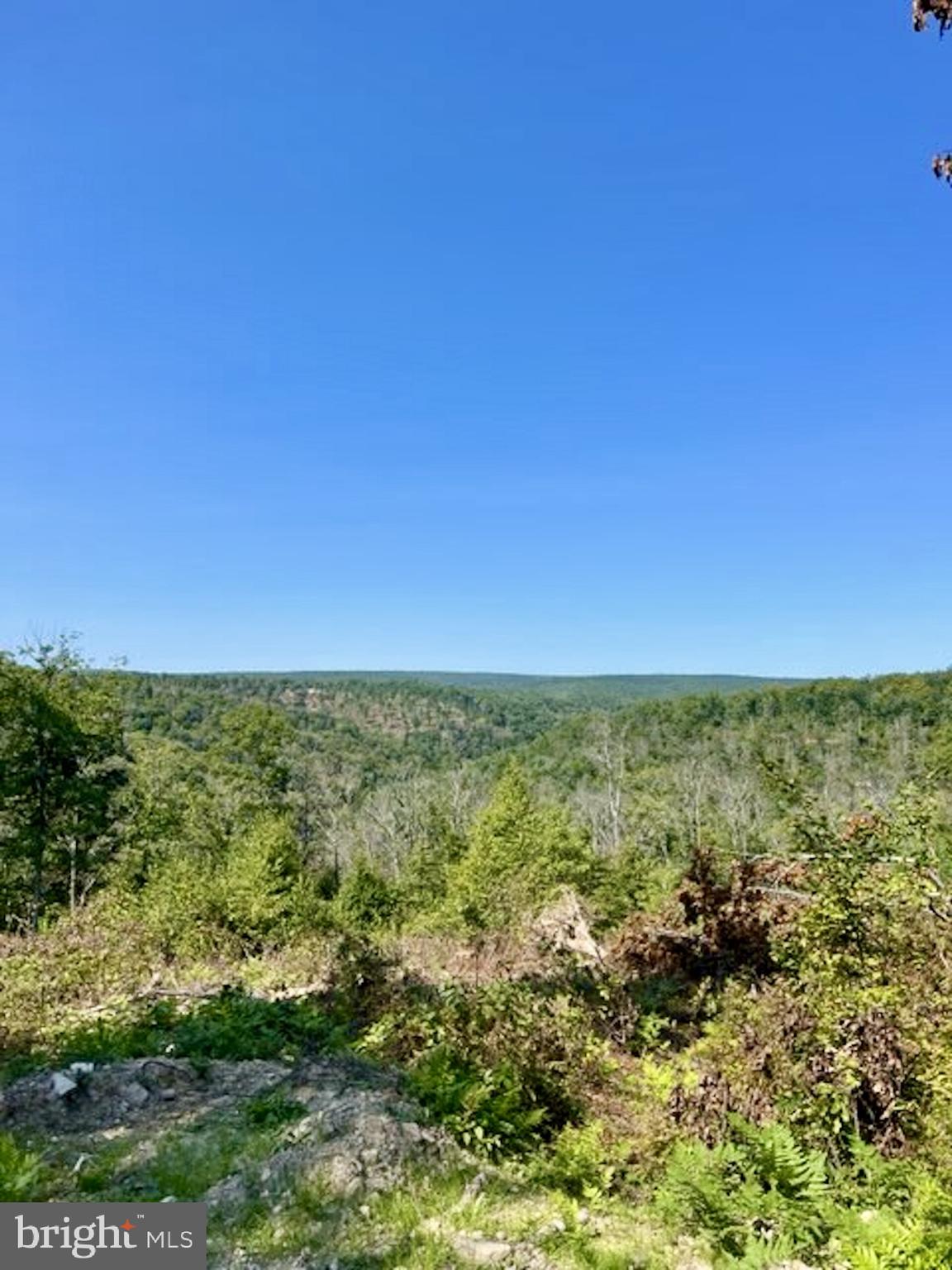 25 BEECH CREEK MOUNTAIN ROAD