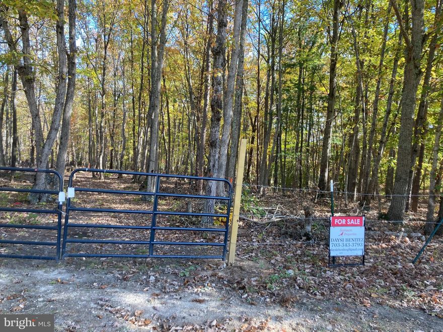 2.90  Wooded Acres in central Orange County. Ready for build your dream home, come to see this parcel  ready with perk site and soil Information Summary for 3 bedrooms. 
Great opportunity for investing or to build your dream home! No HOA's. State maintained road.