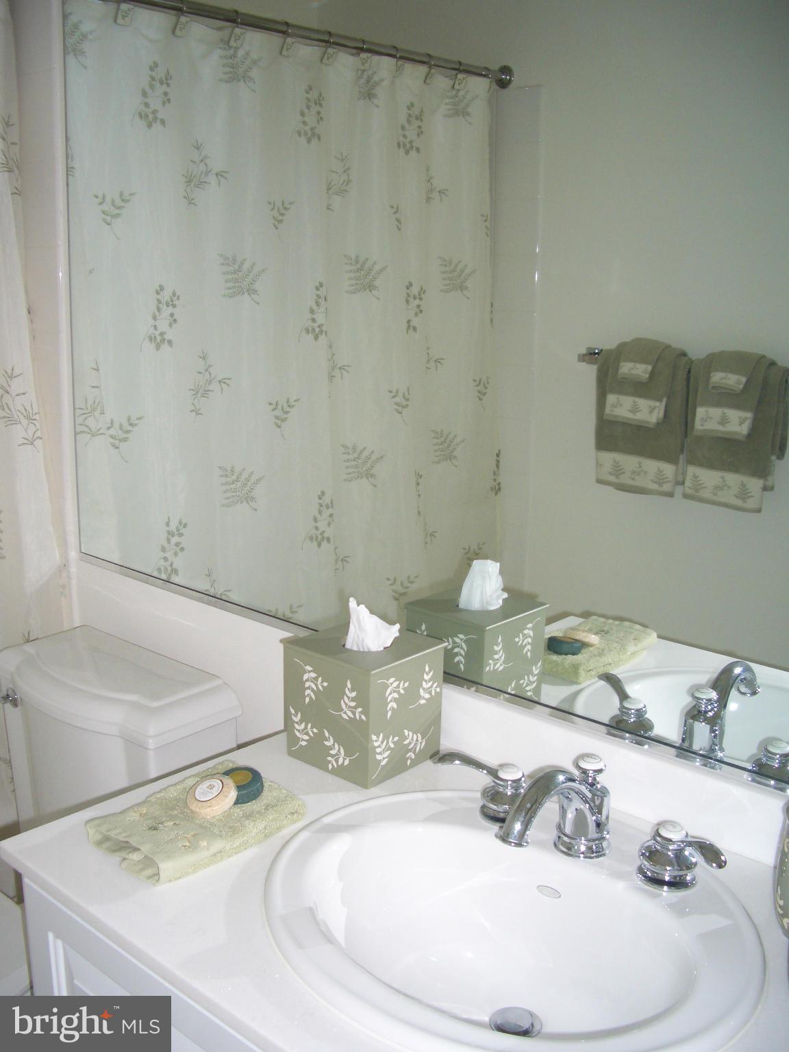 OLD TOWN - Residential Lease