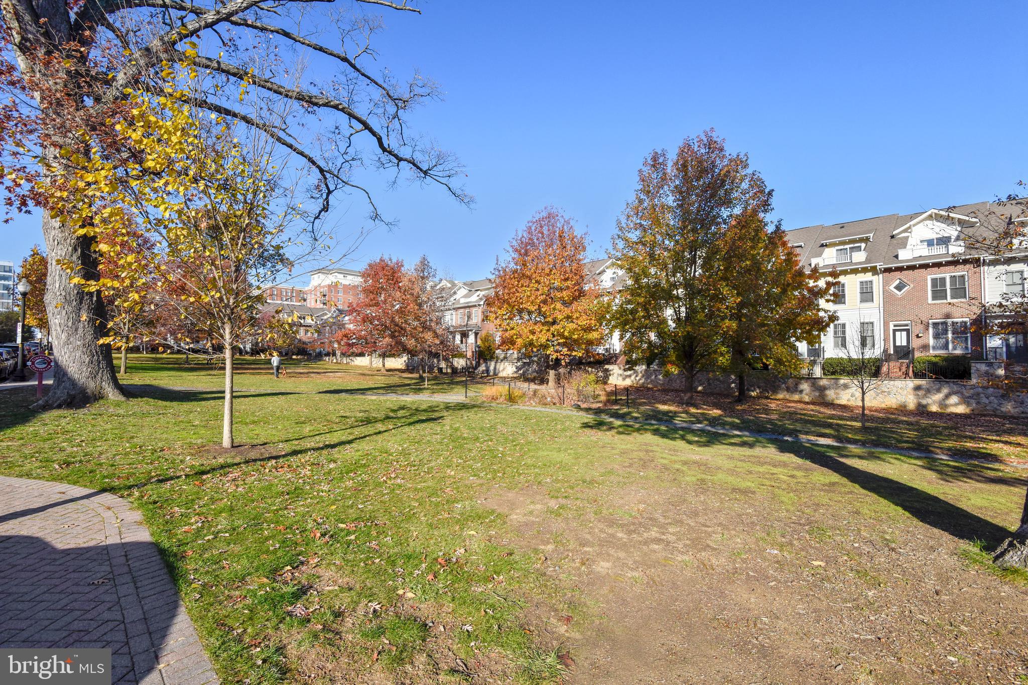 CLARENDON - Residential Lease