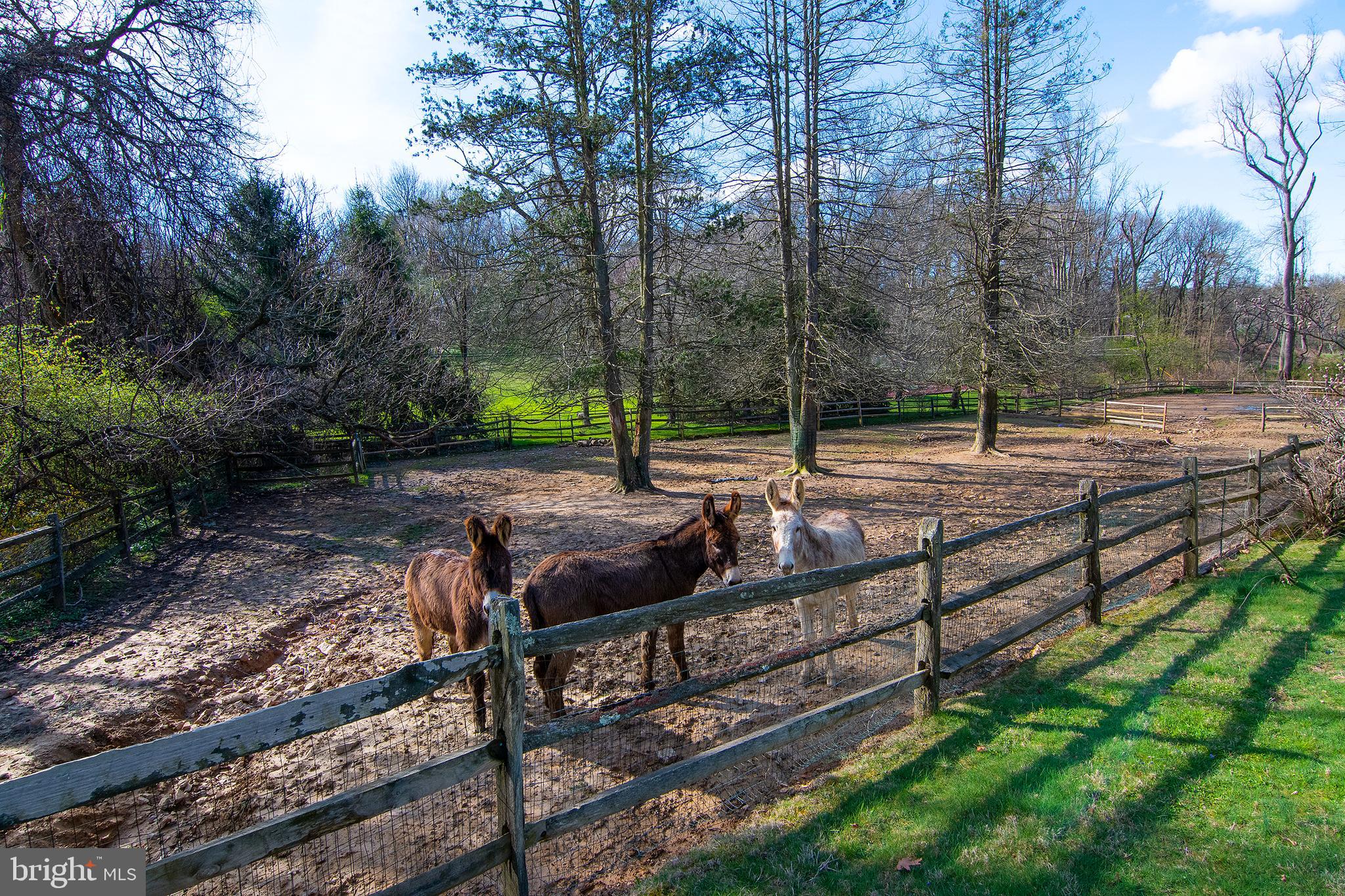 GLADWYNE - Residential