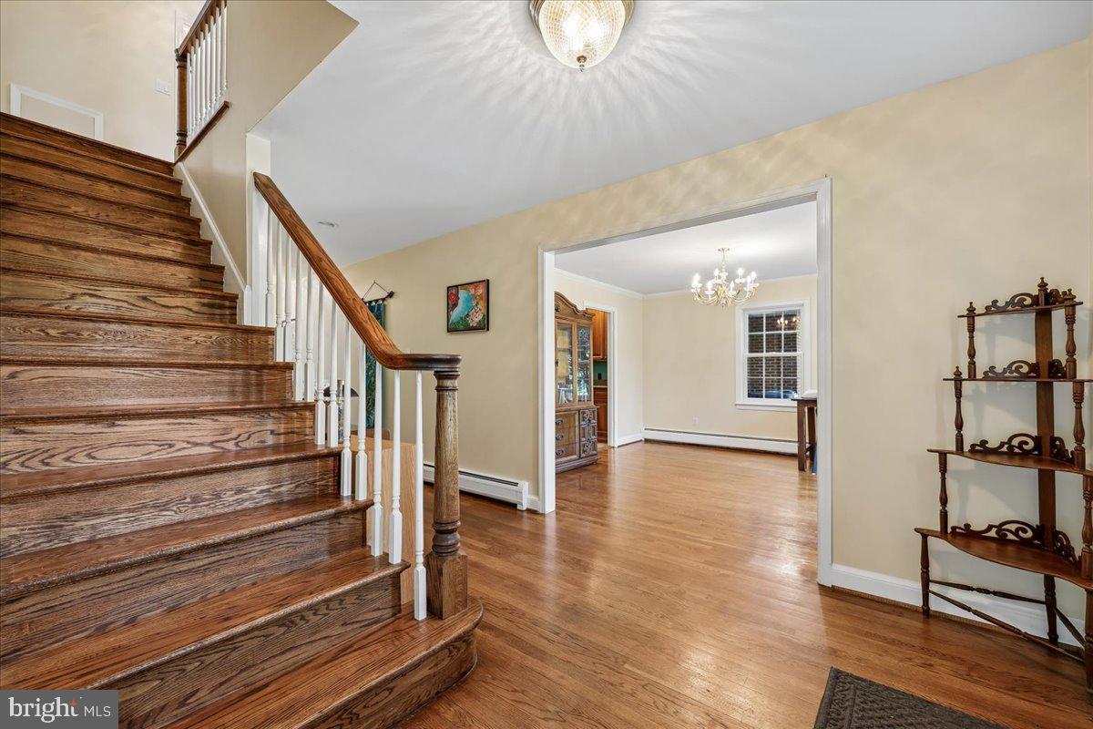 ANCIENT OAK - Residential