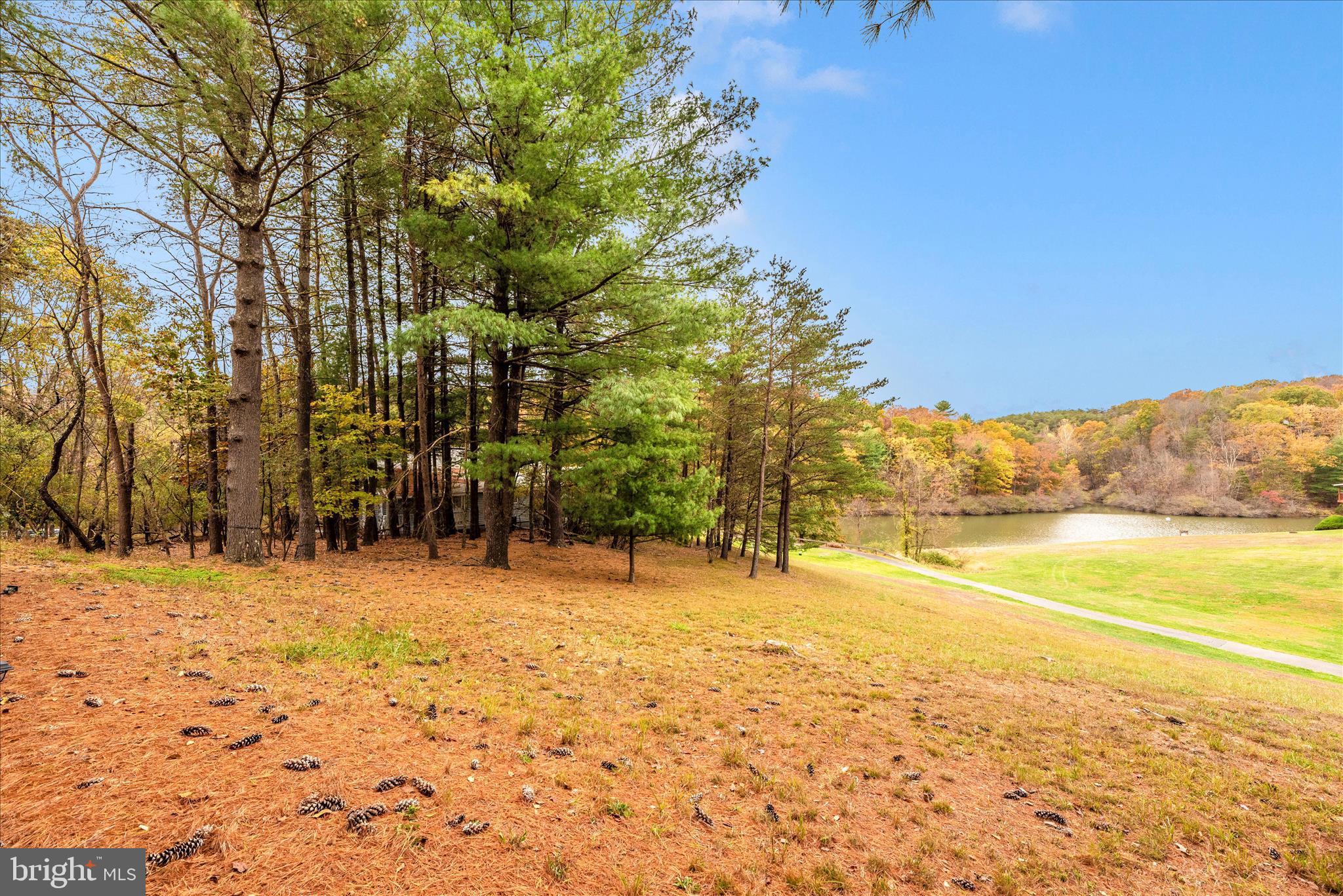 THE WOODS - Residential