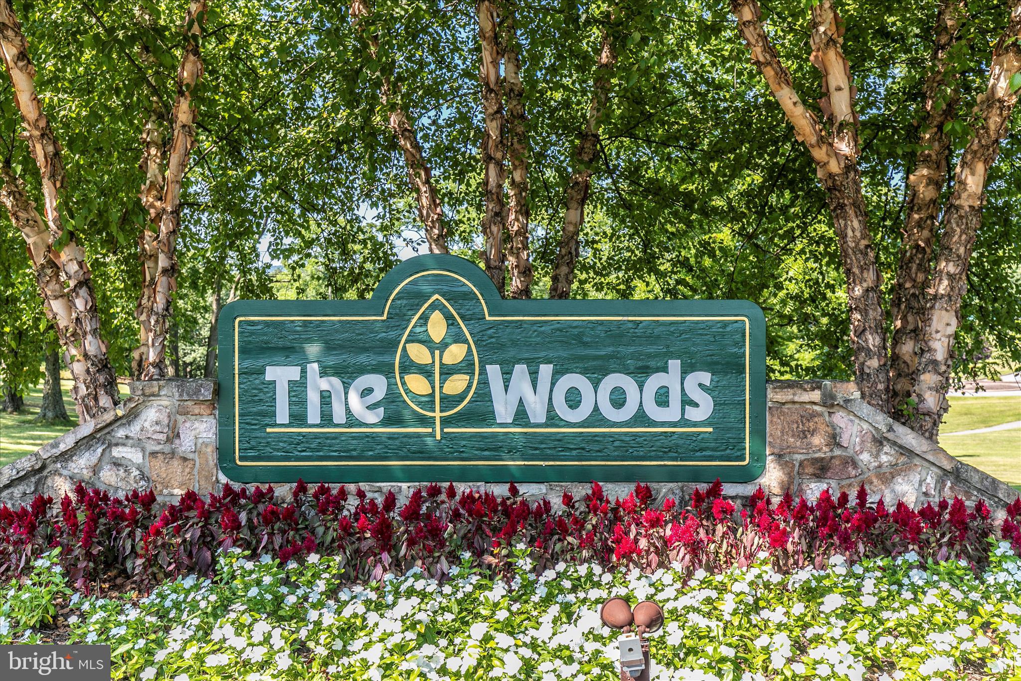 THE WOODS - Residential