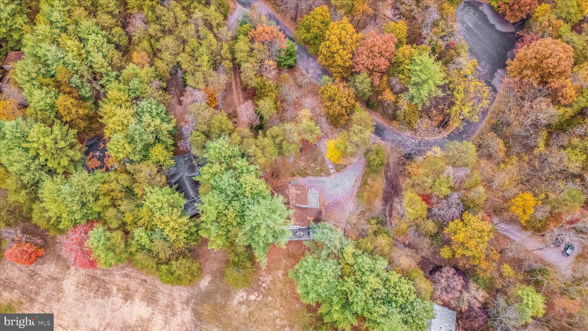 THE WOODS - Residential