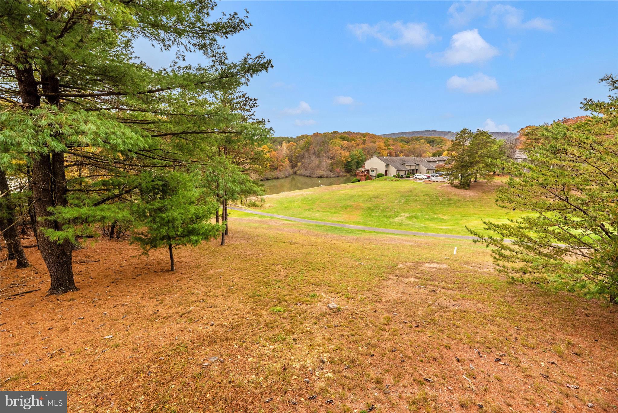 THE WOODS - Residential