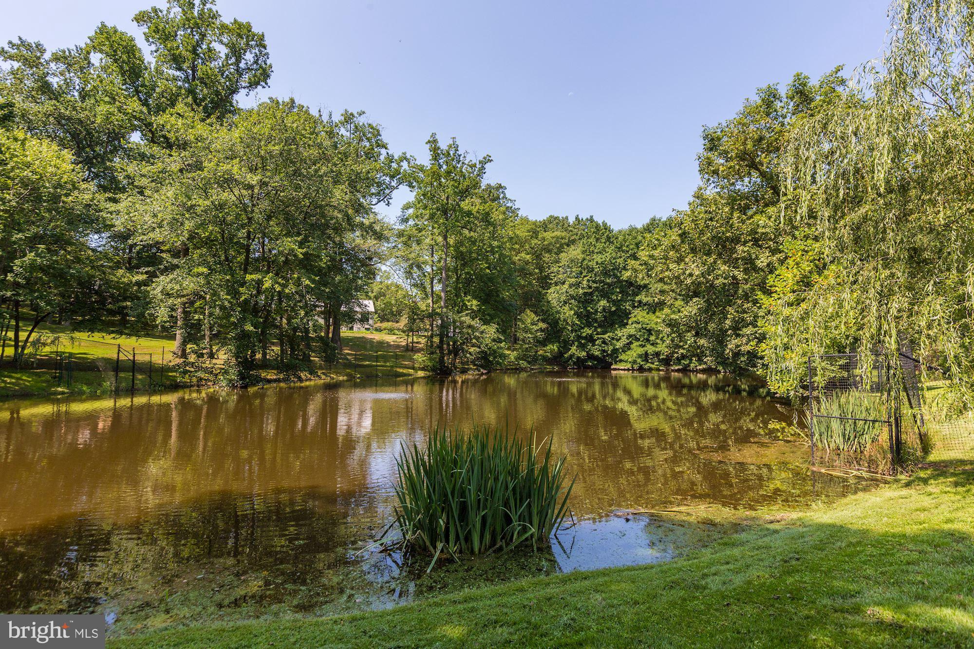 GREAT FALLS ESTATES - Residential