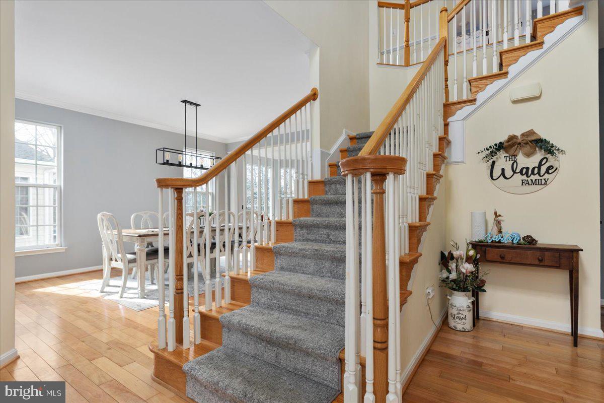 COLES RUN/PARKWAY WEST - Residential