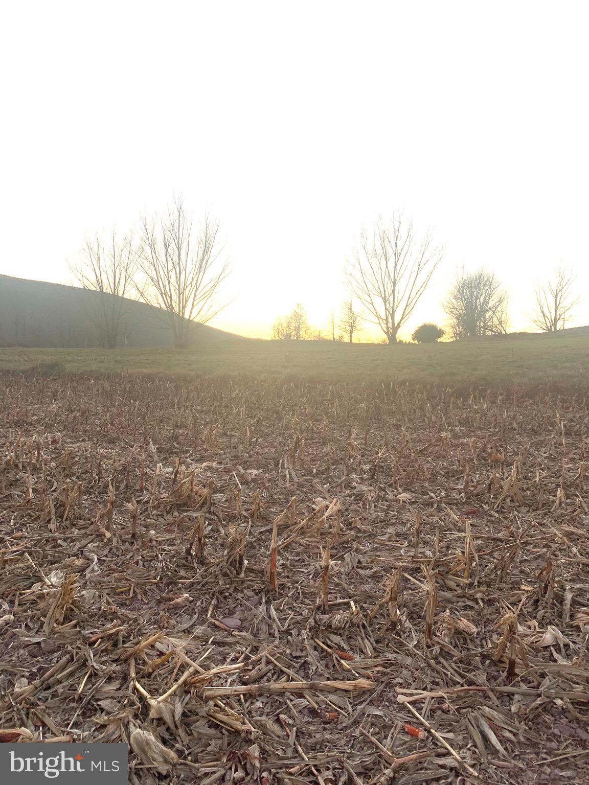 0 WEST SIDE OF STEIN ROAD