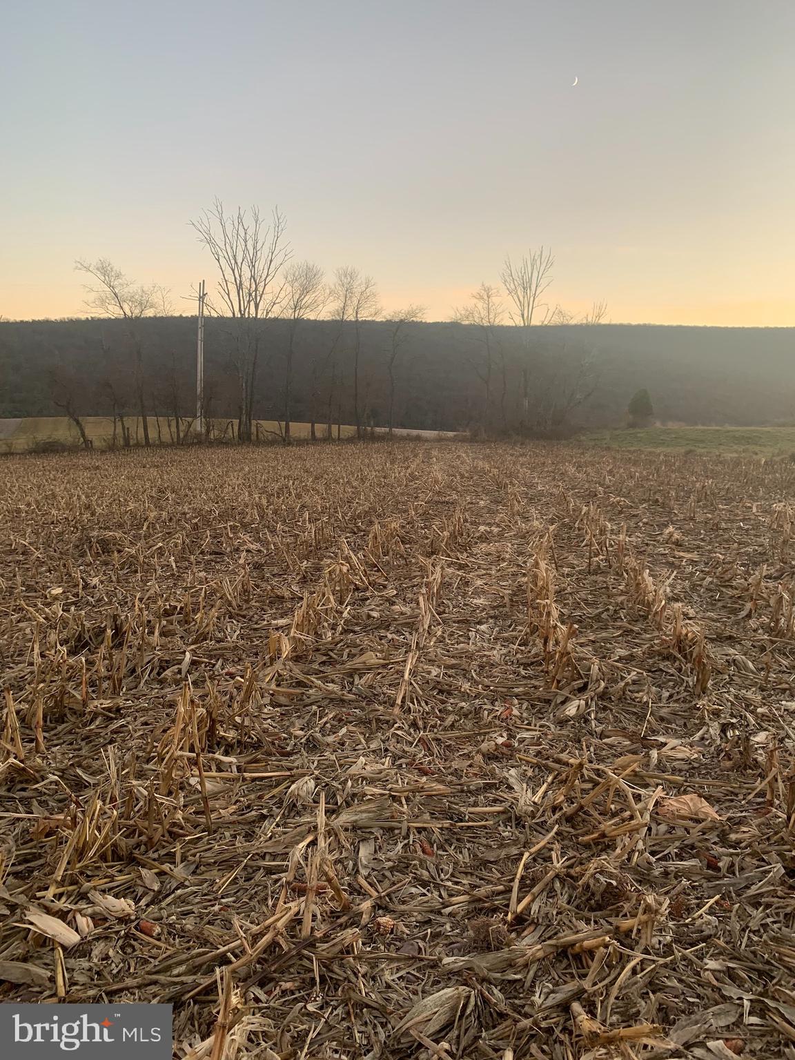 0 WEST SIDE OF STEIN ROAD