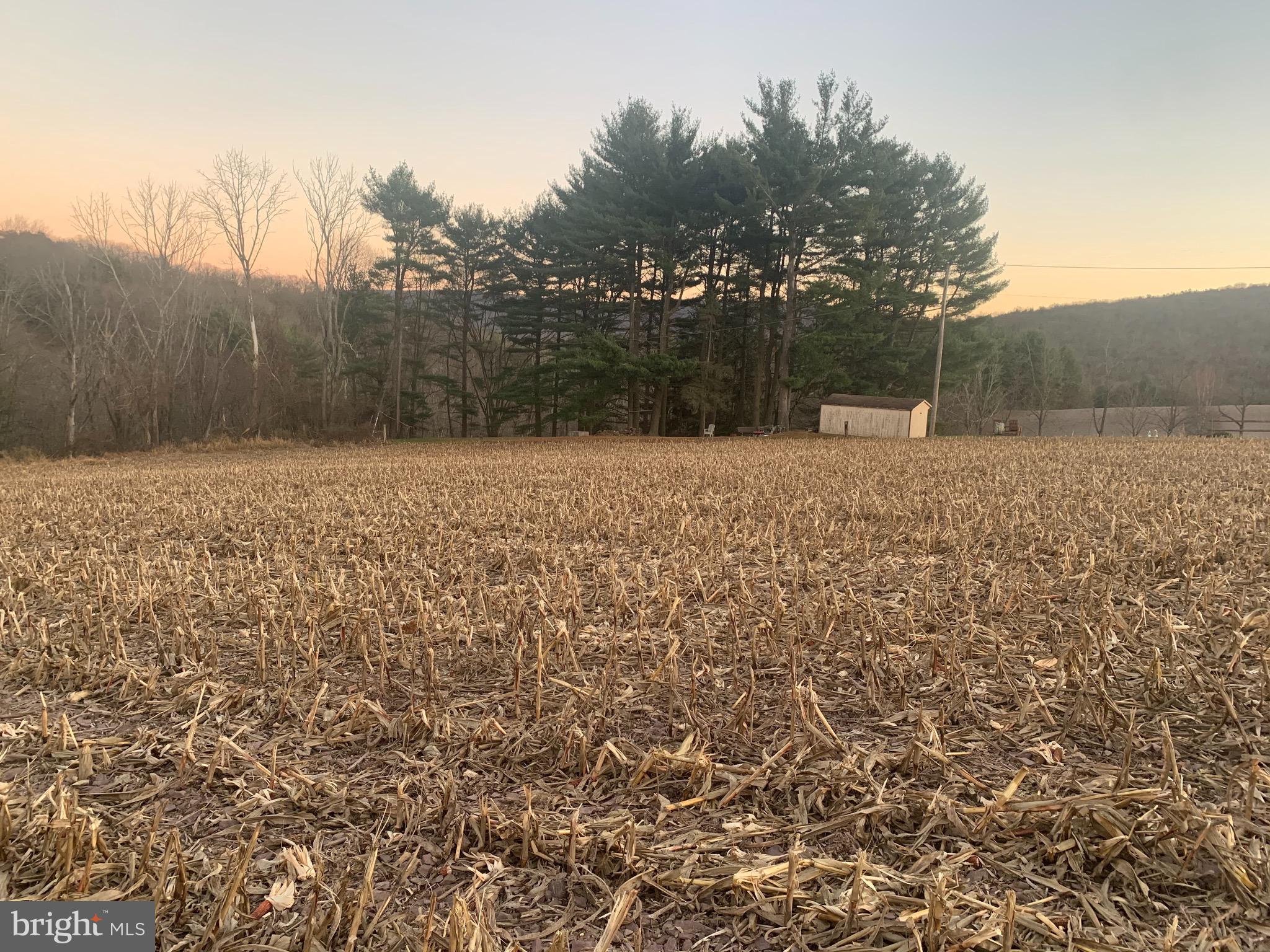 0 WEST SIDE OF STEIN ROAD