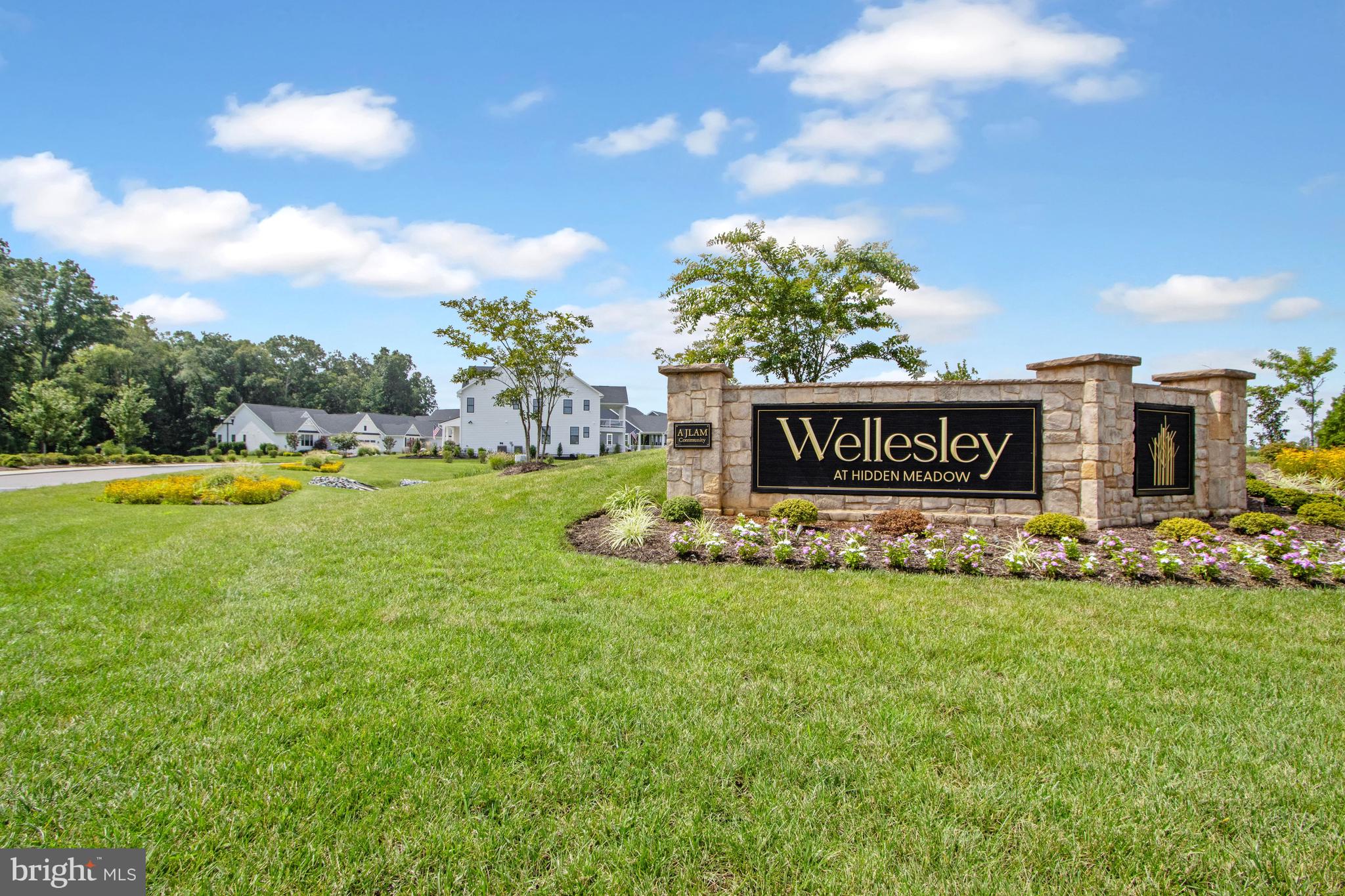 WELLESLEY AT HIDDEN MEADOWS - Residential