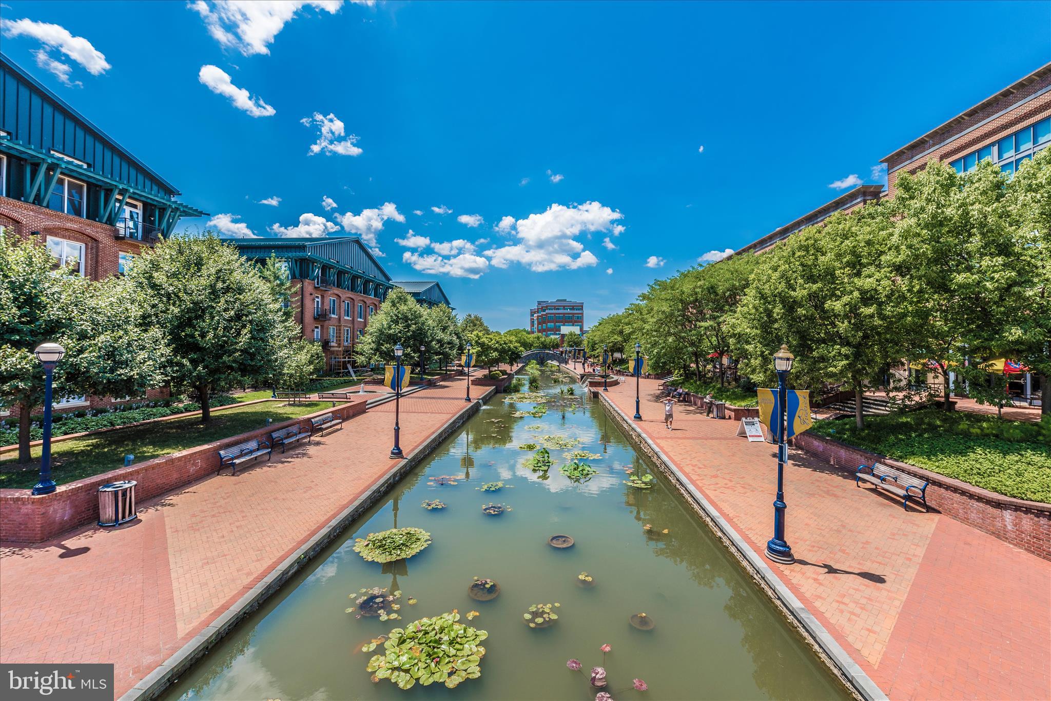 MAXWELL PLACE - Residential