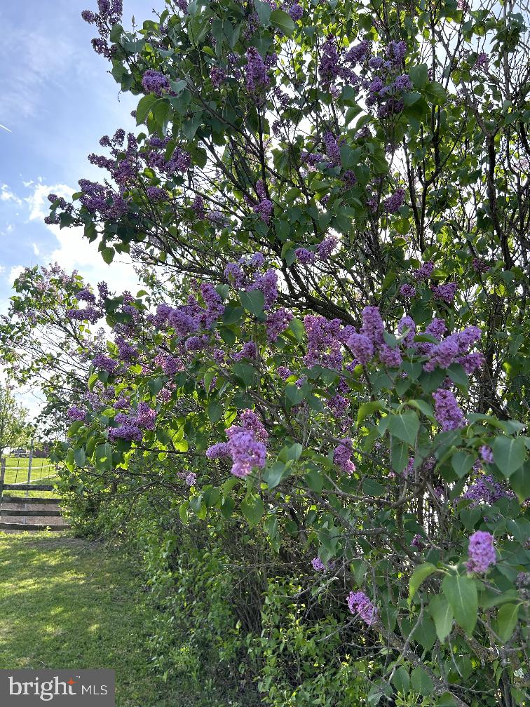 PETERSBURG - Residential