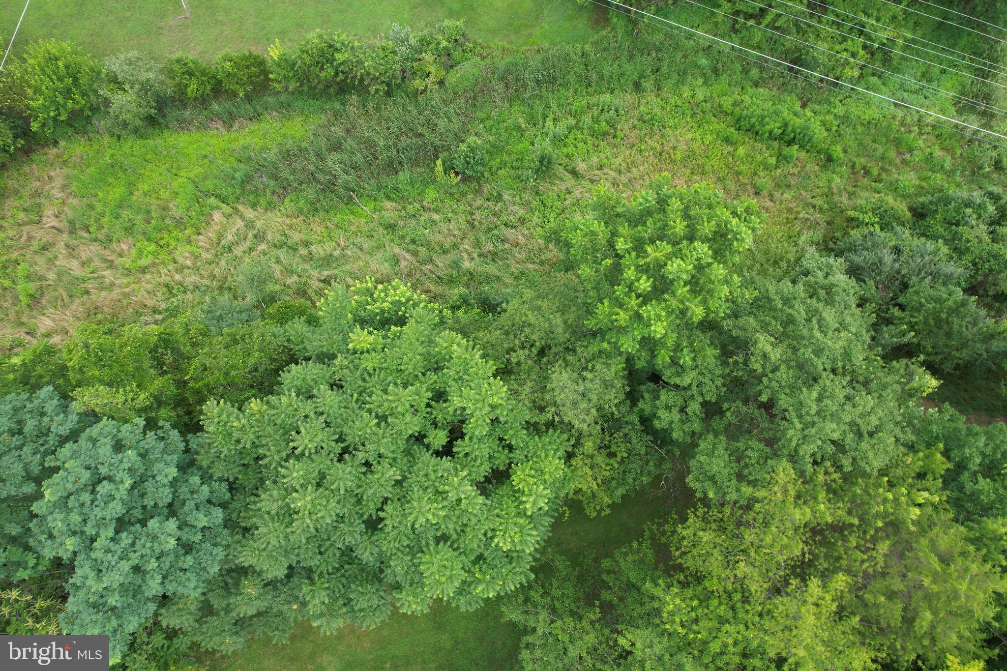 PETERSBURG - Residential