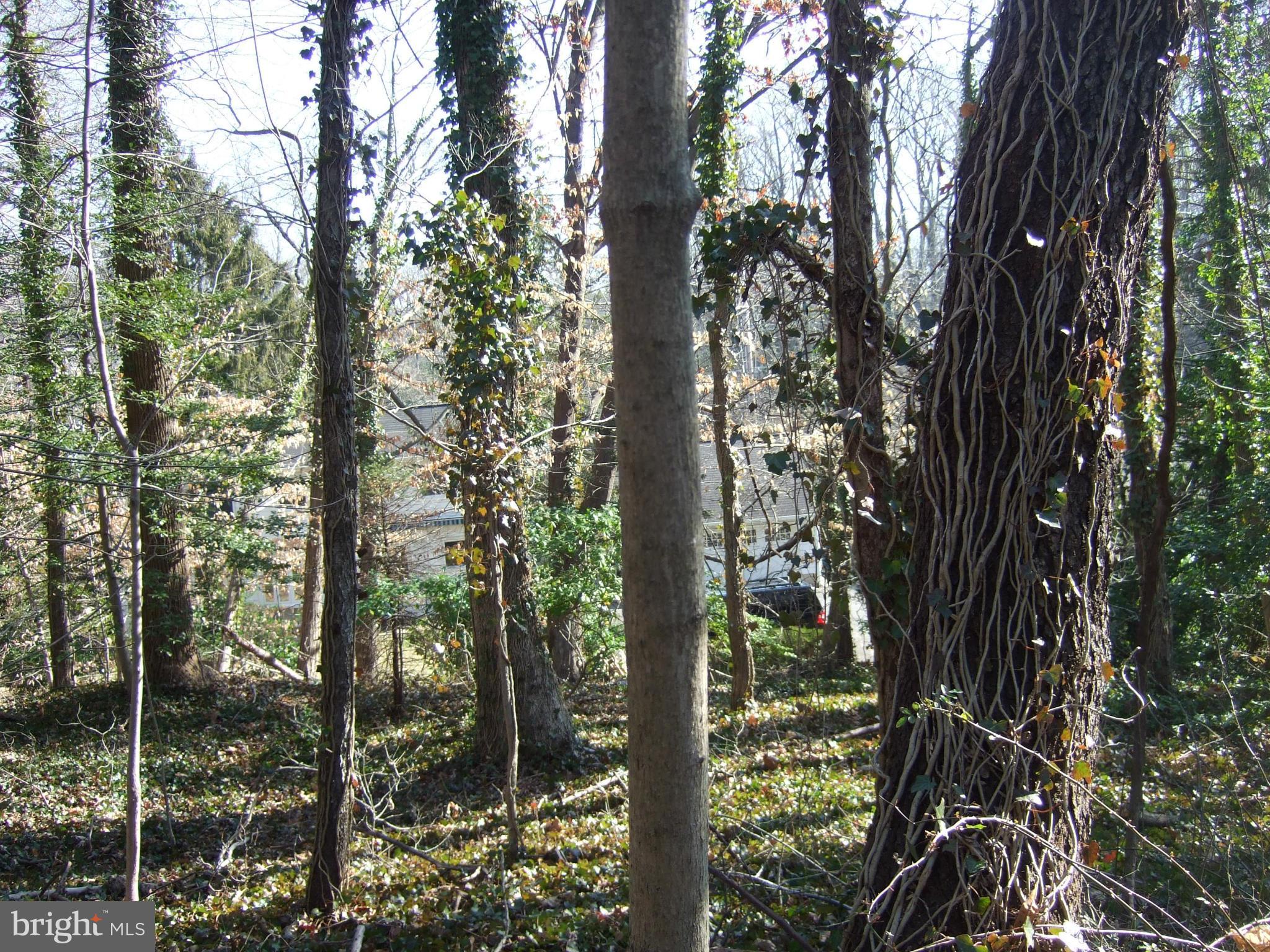 PENDENNIS MOUNT - Land