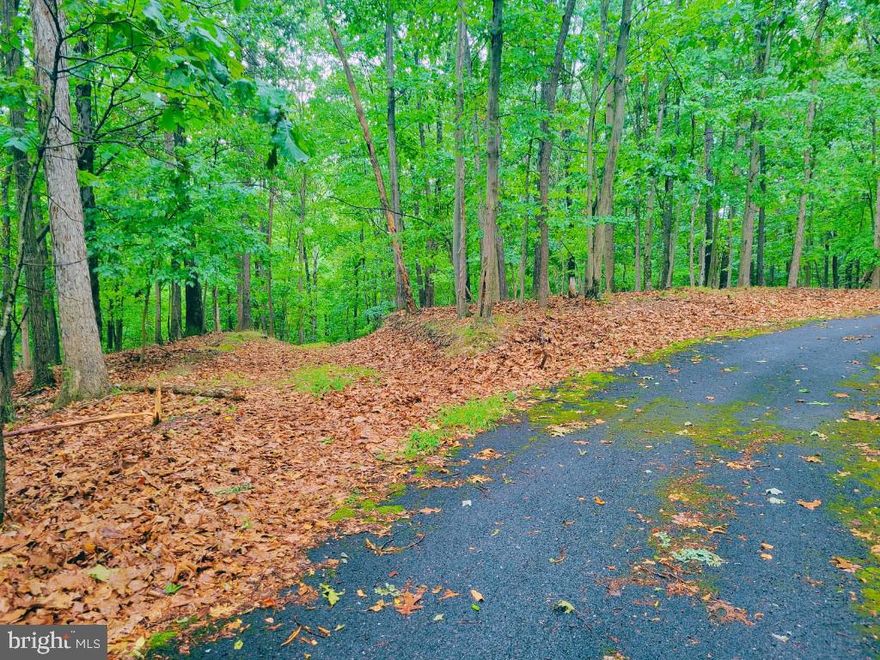 Build your PRIVATE PARADISE on FIVE (5) ACRES  in this conveniently located community just over the Virginia line in Gerrardstown, WV.  Easy commute to Inwood, Martinsburg, Winchester and I-81.  Whether you're looking for a primary residence or vacation spot, don't miss this 5 acres to build on, grow on and make lasting memories on!