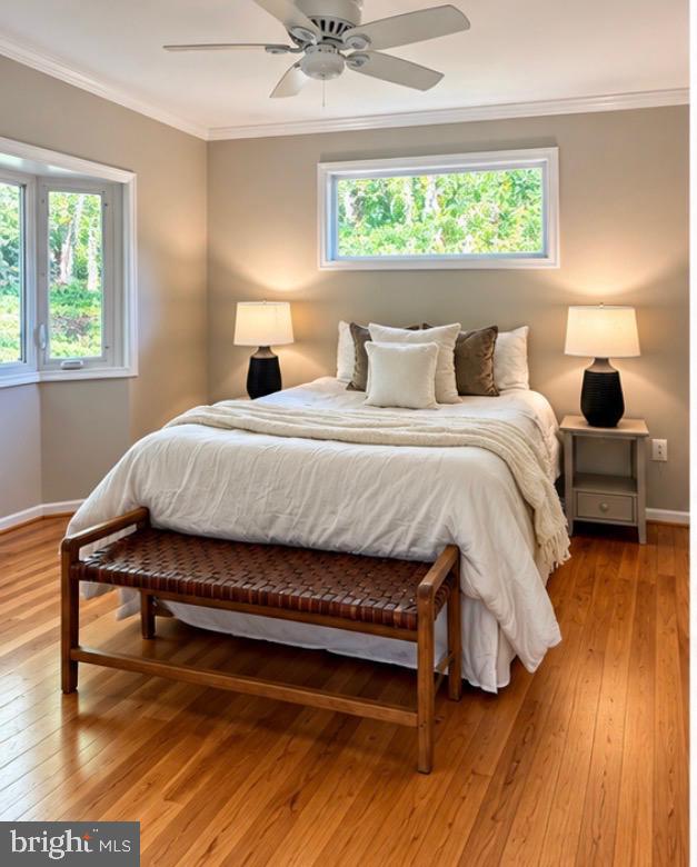Search Homes 3 7840 BROMPTON STREET
