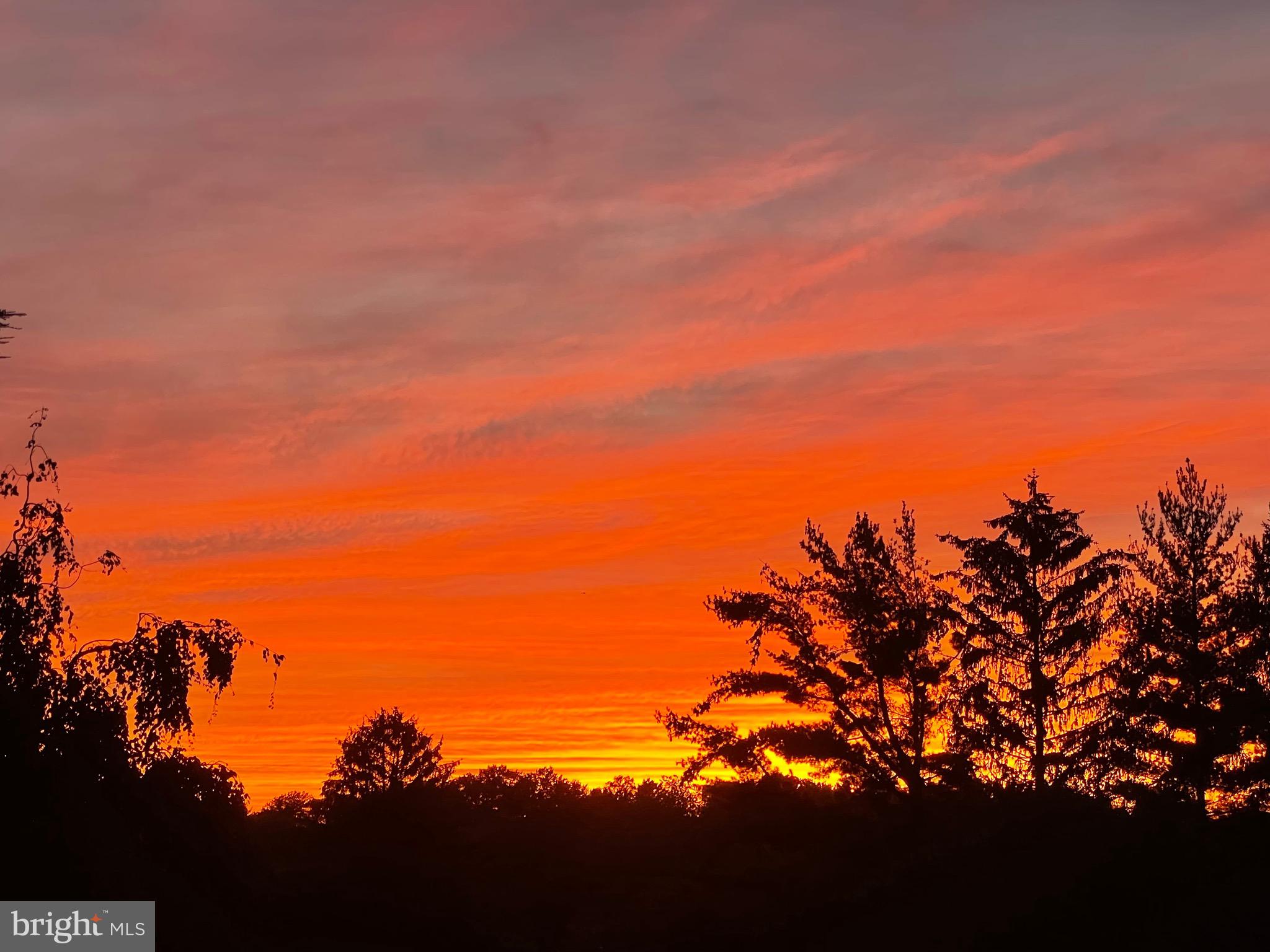 WINCHESTER PARK - Residential