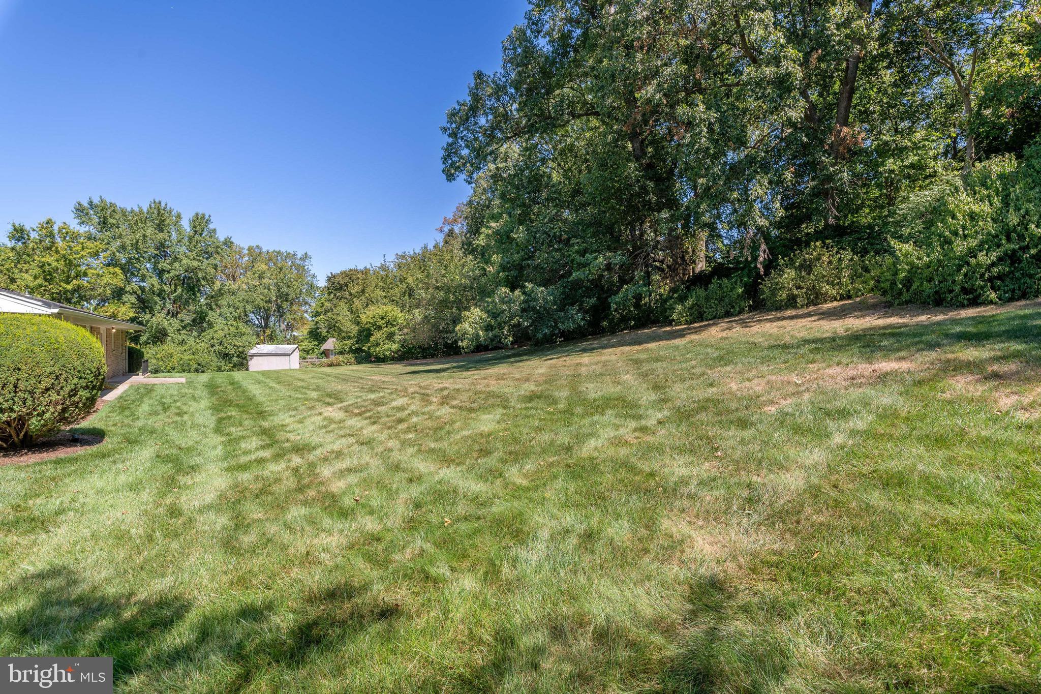 WINCHESTER PARK - Residential