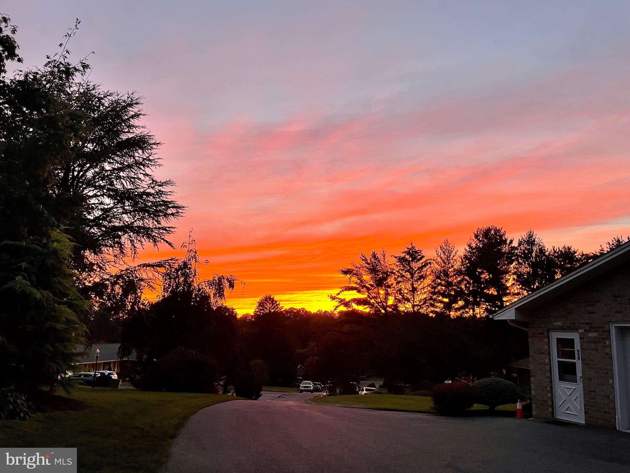 WINCHESTER PARK - Residential