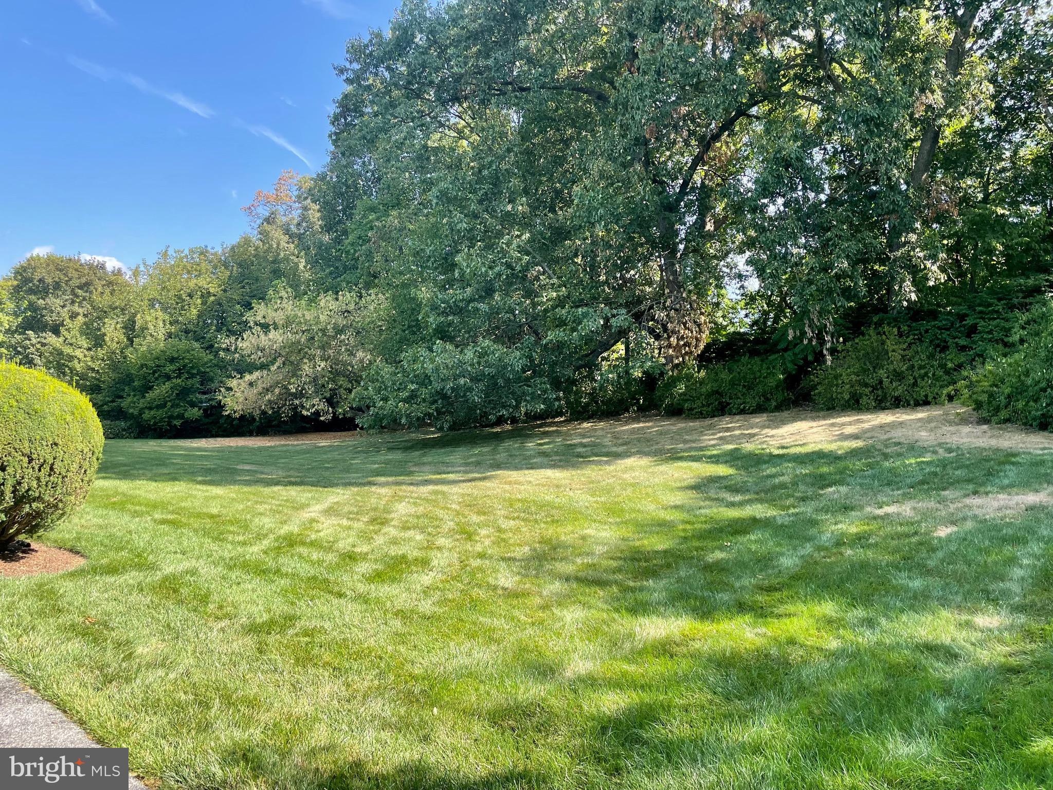 WINCHESTER PARK - Residential