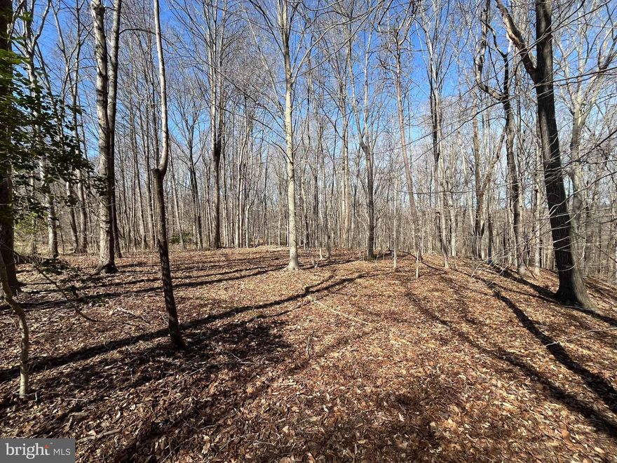 List price to be opening bid.  Online auction to be conducted on Auctioneers website. Bidding begins Friday, April 19, 2024 and ends Wednesday, April 24, 2024 at 12:00 PM. 5.96+/- Acre lot in the Desirable "Mt. Calvert" Estates of Upper Marlboro. All lots are perked and have a private septic tank.  The lots offer incredible privacy and scenic views.  There is a private road in place.   The lot is only 10 minutes from Main St in Upper Marlboro and 5 minutes from the Patuxent River Park.  It is also convenient to Crain Highway and Route 4.