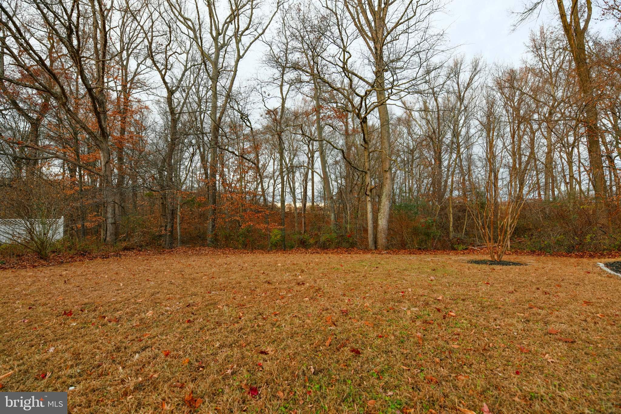 CENTREVILLE - Residential