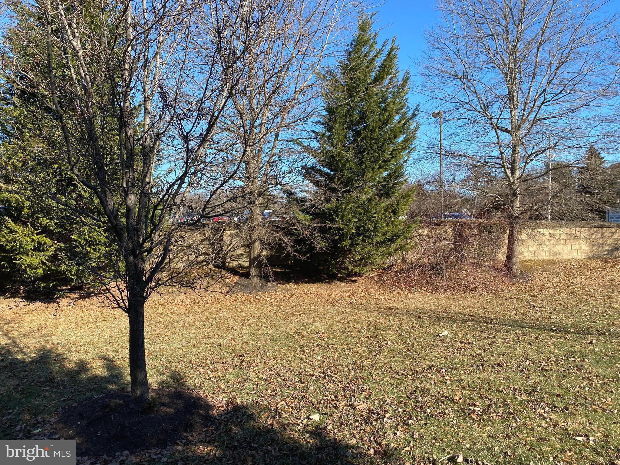 SPRINGER WOODS - Residential Lease