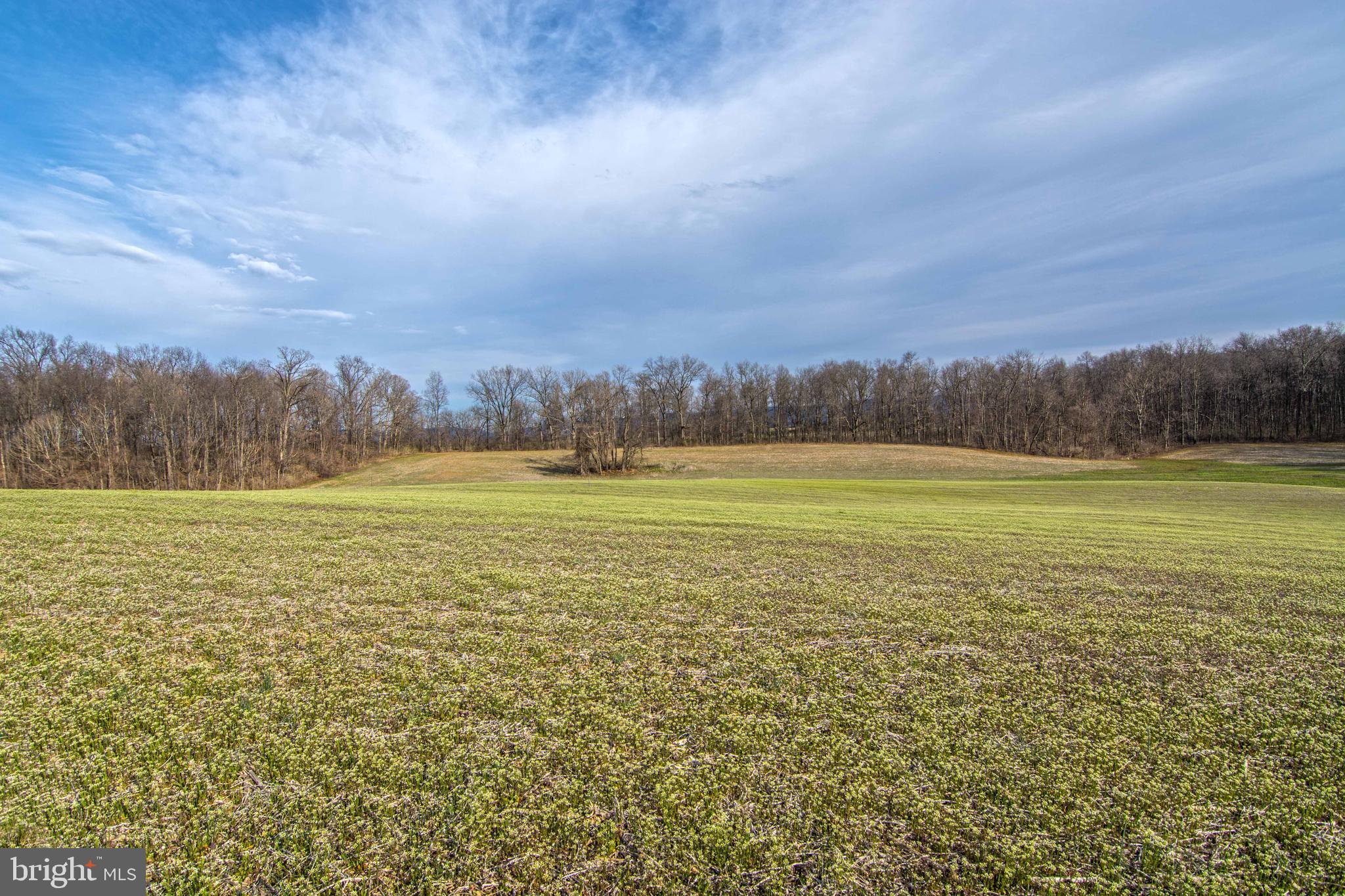 NONE AVAILABLE - Land