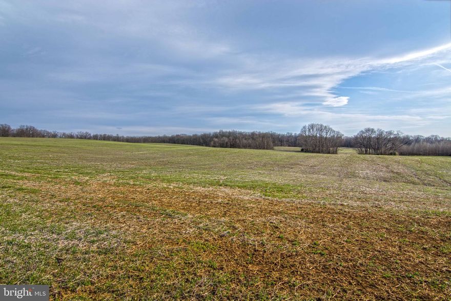 48 Acres Open Land, Level, Rolling Acres Located Just Outside The Historic Village of White Post.  Bring The Horses!  Property has 2 DURS (Dwelling Unit Rights) Convenient to Route 50 & Route 522.  Clarke County Septic and Well Certifications are on File.