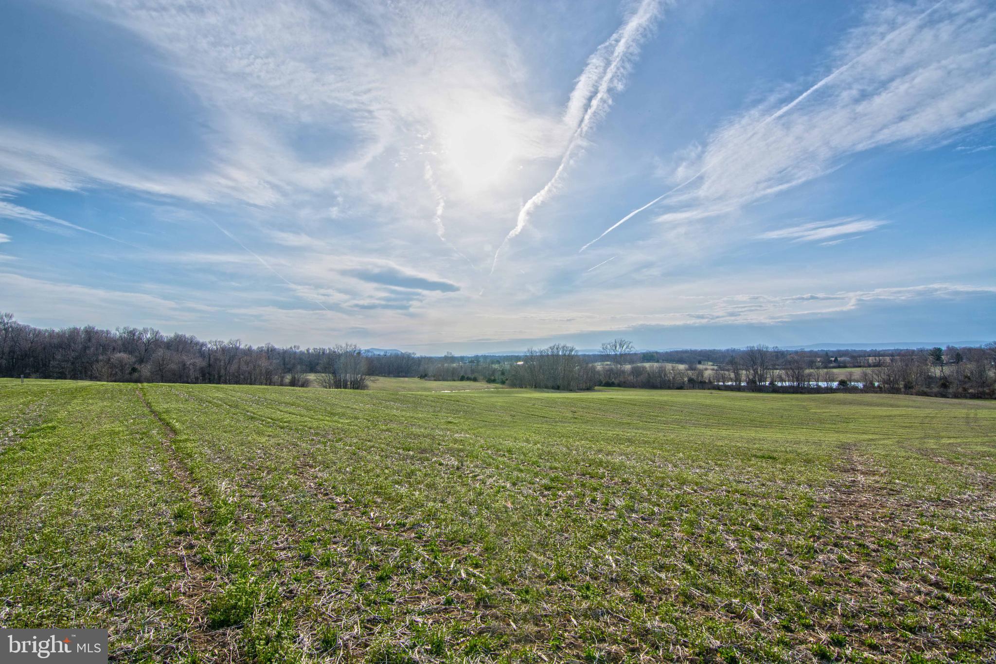 NONE AVAILABLE - Land