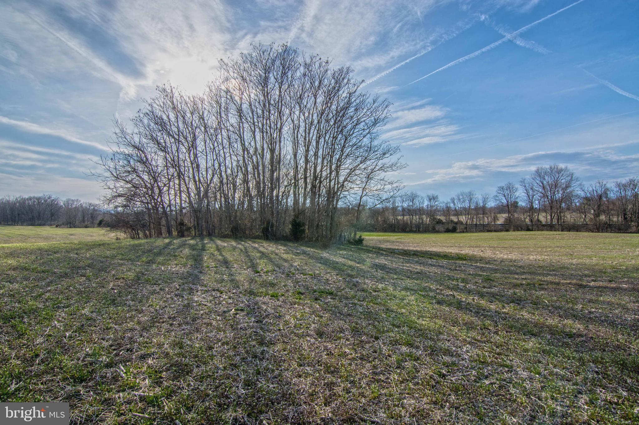 NONE AVAILABLE - Land